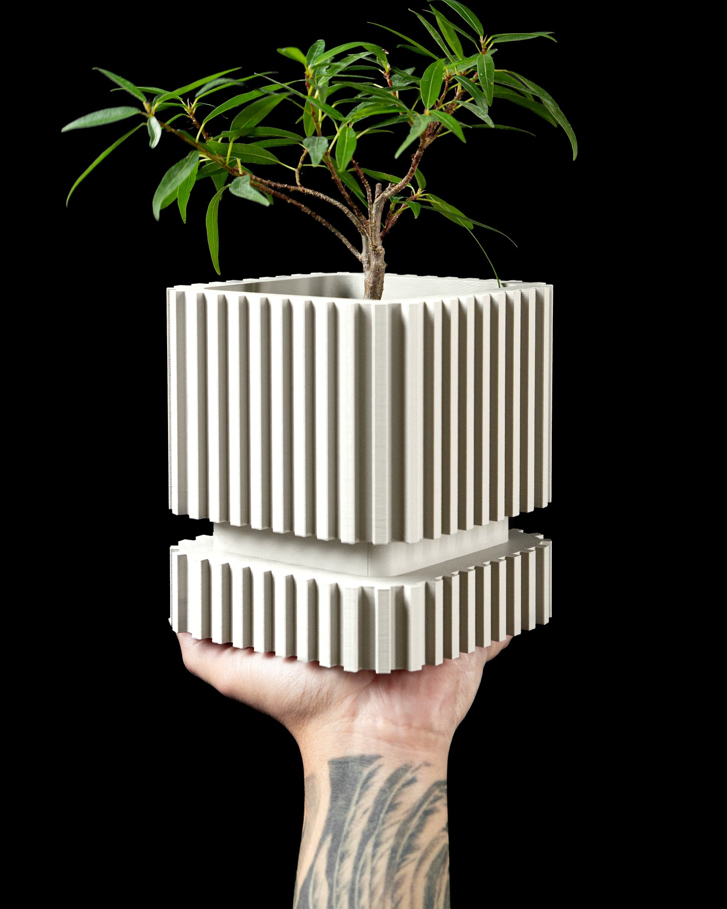 Stripes Interior Planter Pot
