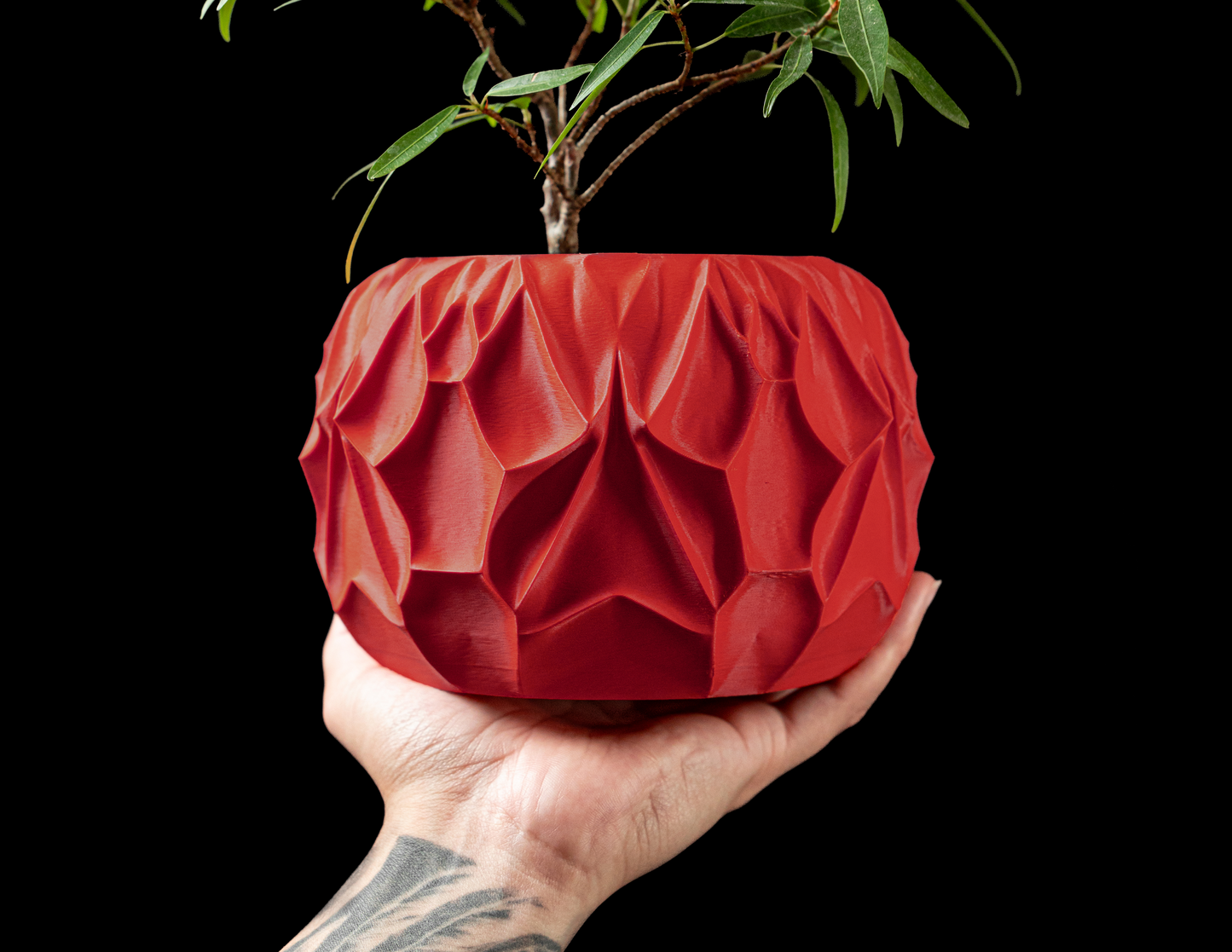 Vessel Interior Planter Pot