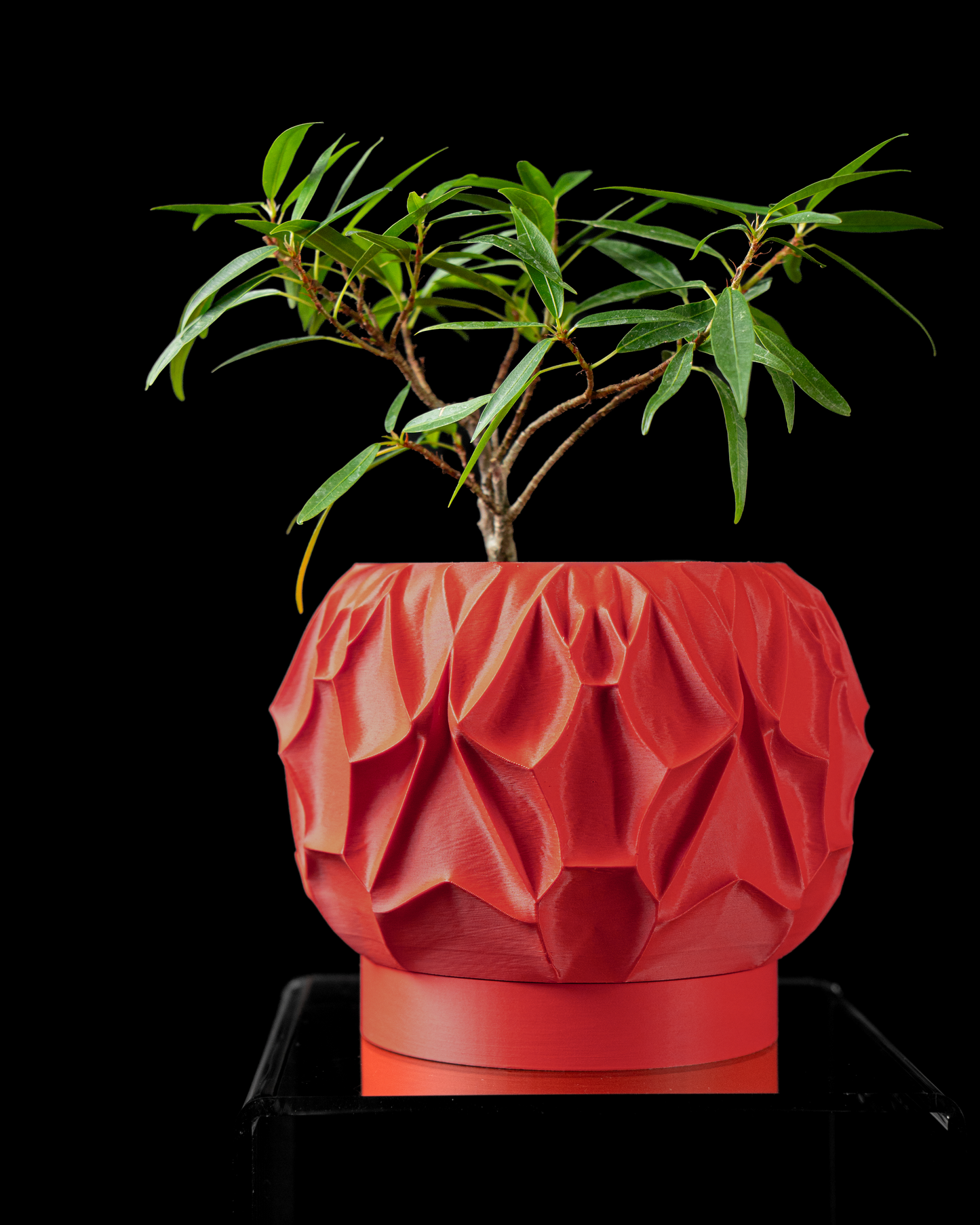 Vessel Interior Planter Pot