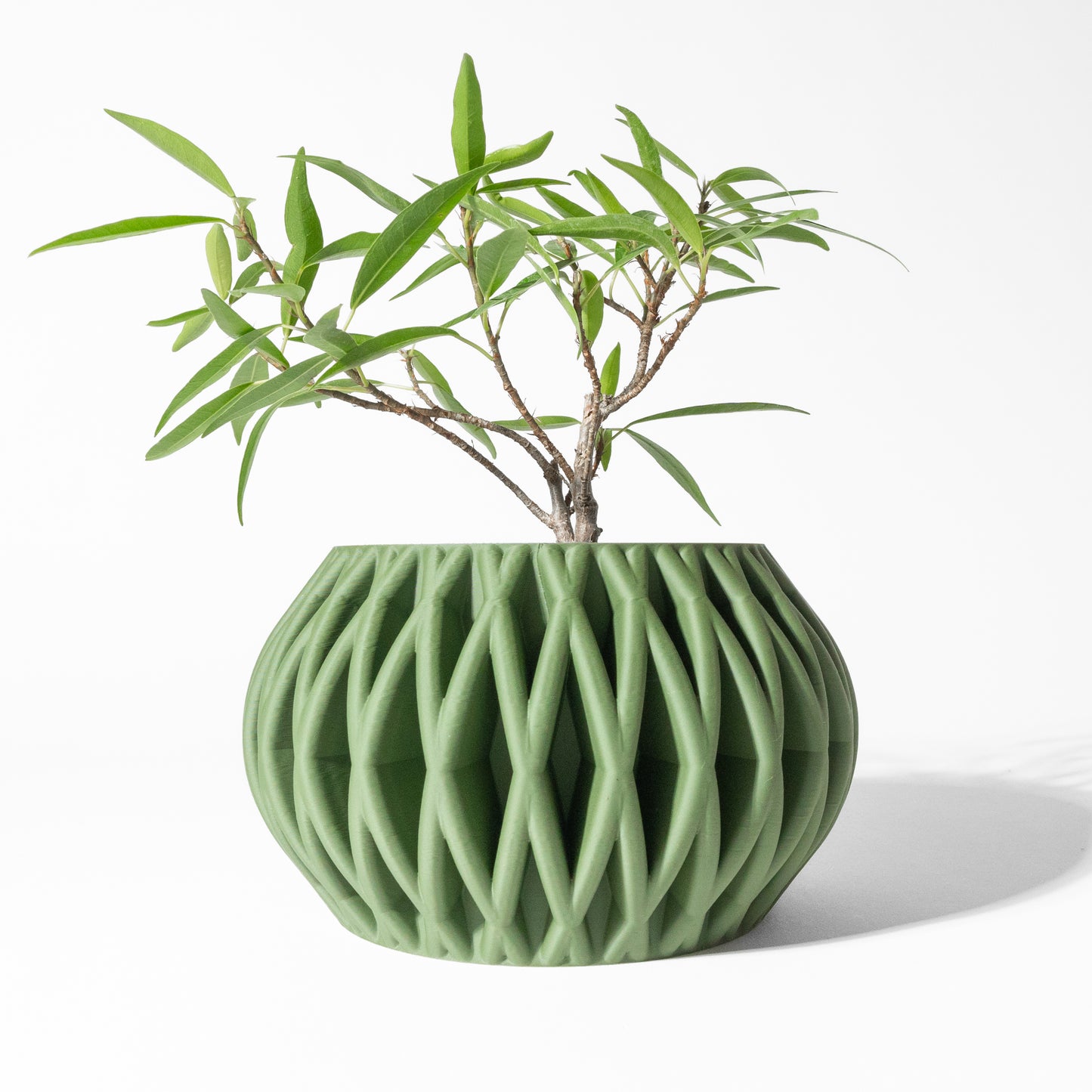 MAKA Planter