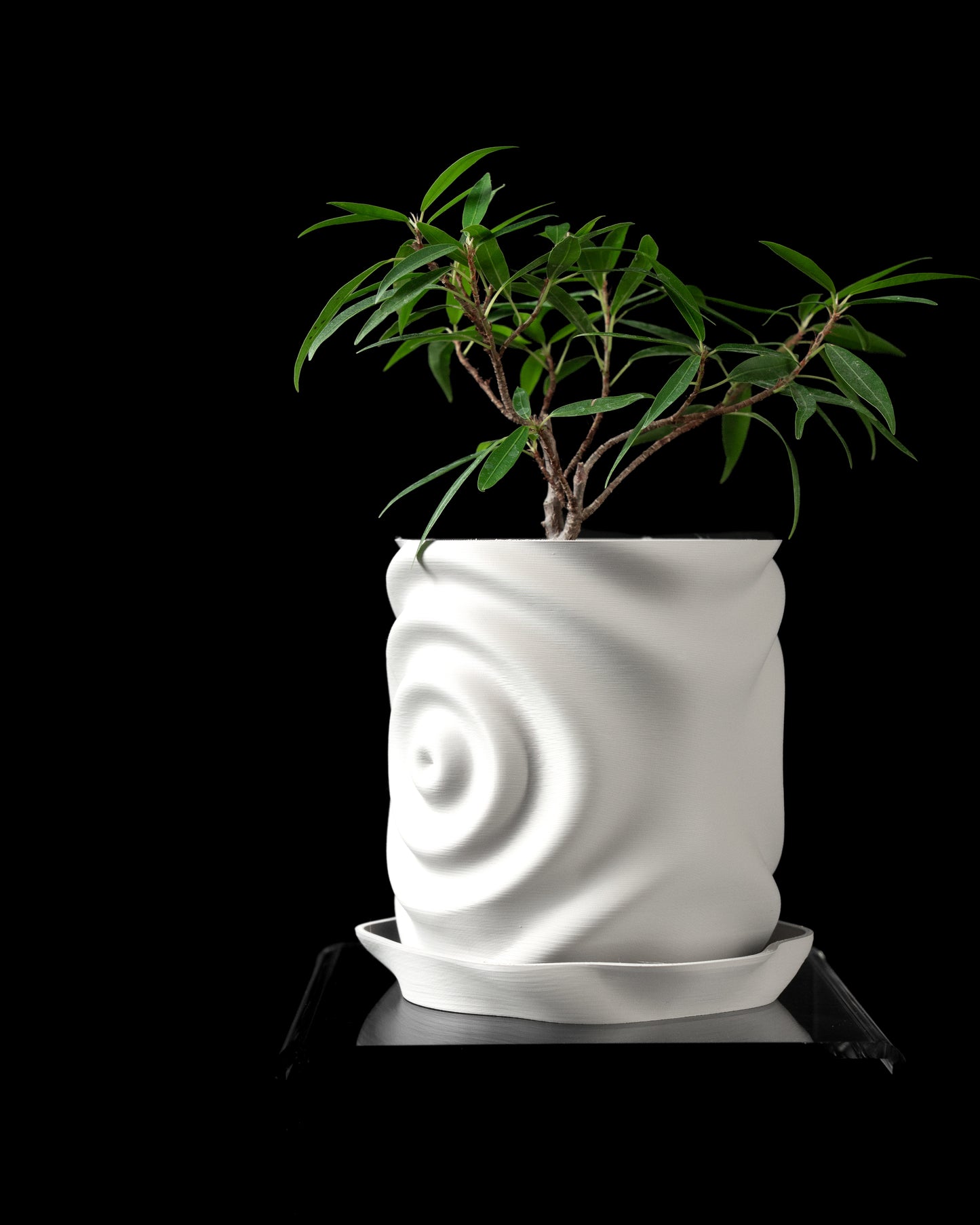 Waterdrop Interior Planter