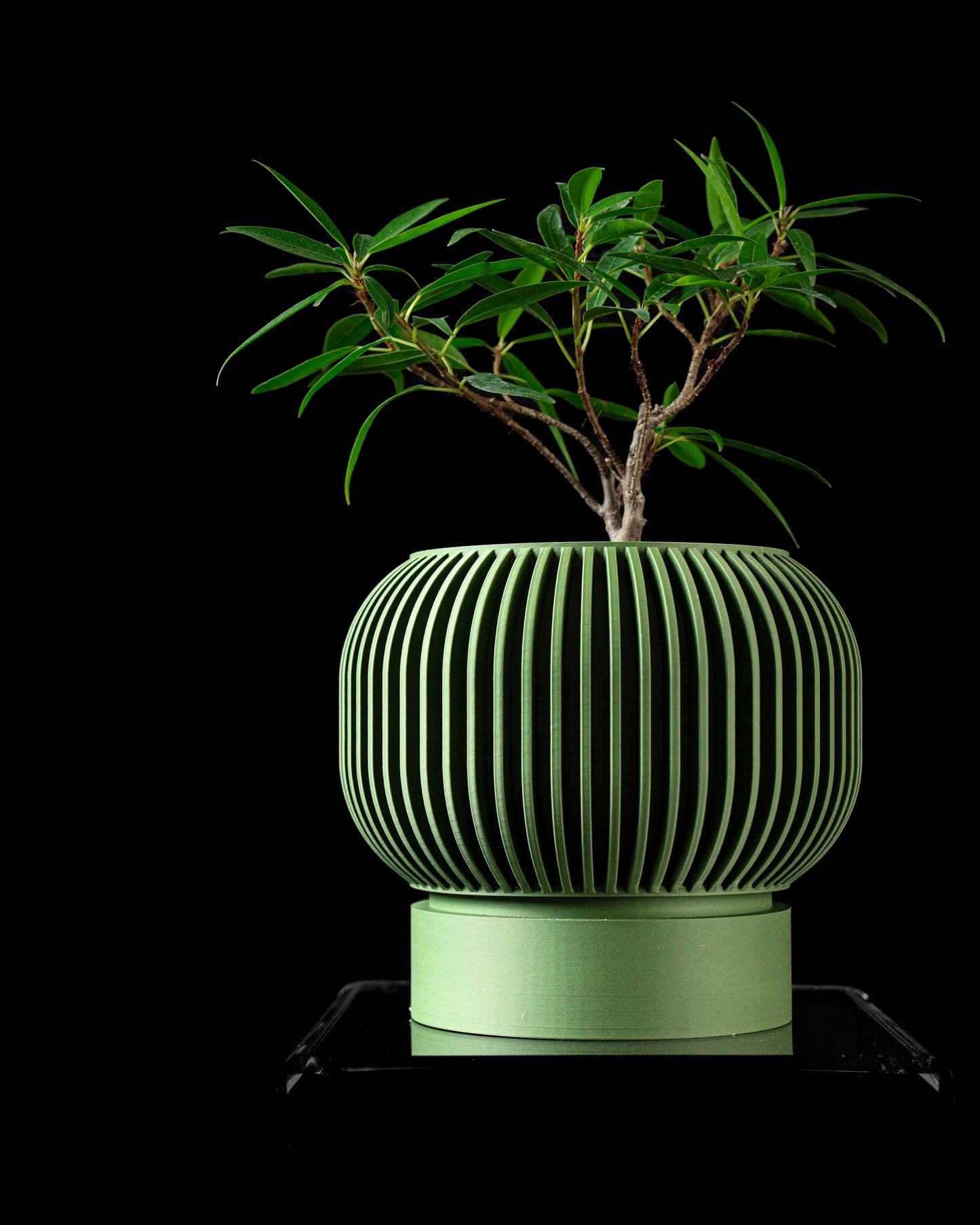 Yuso Interior Planter