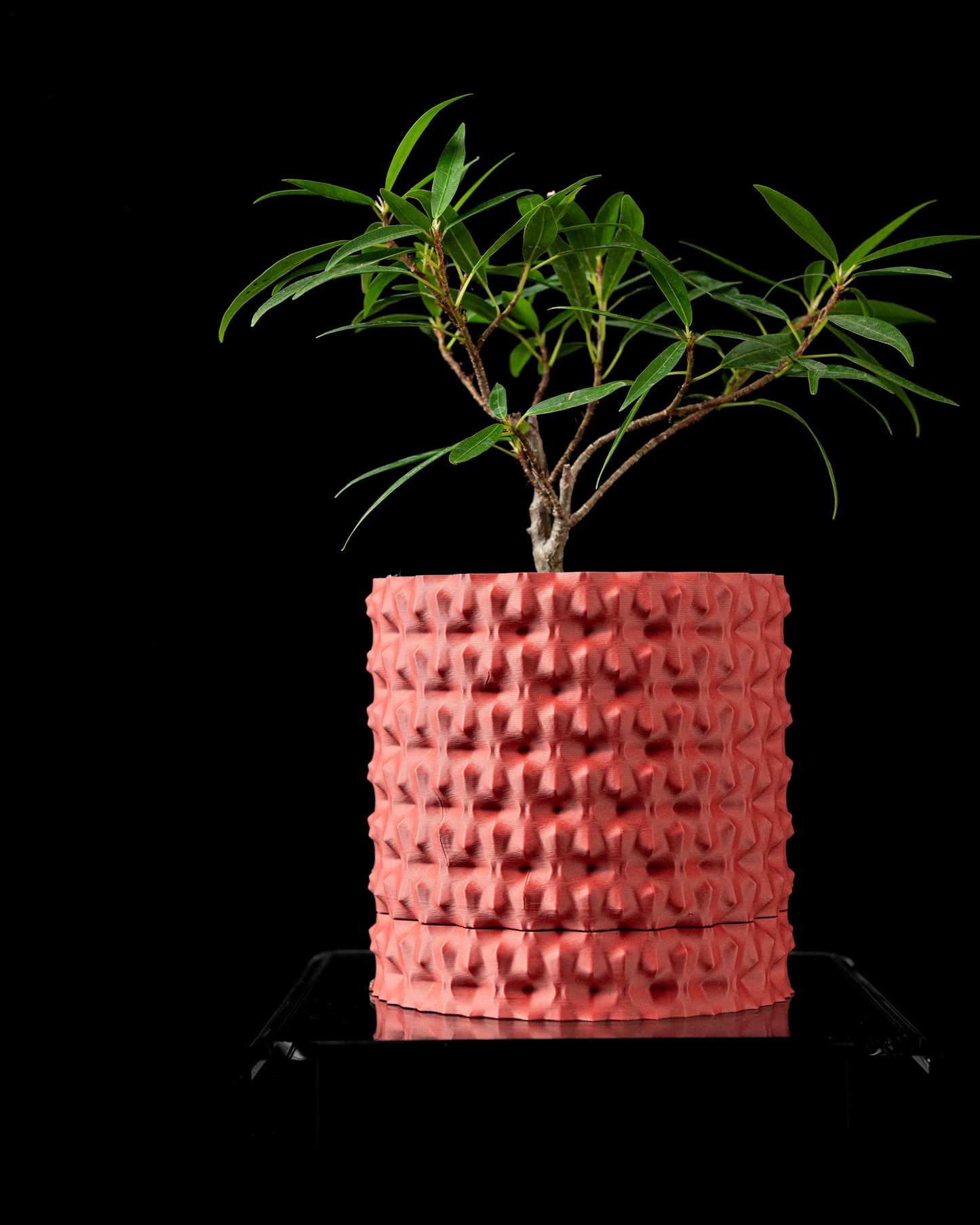 Rugged Interior Planter