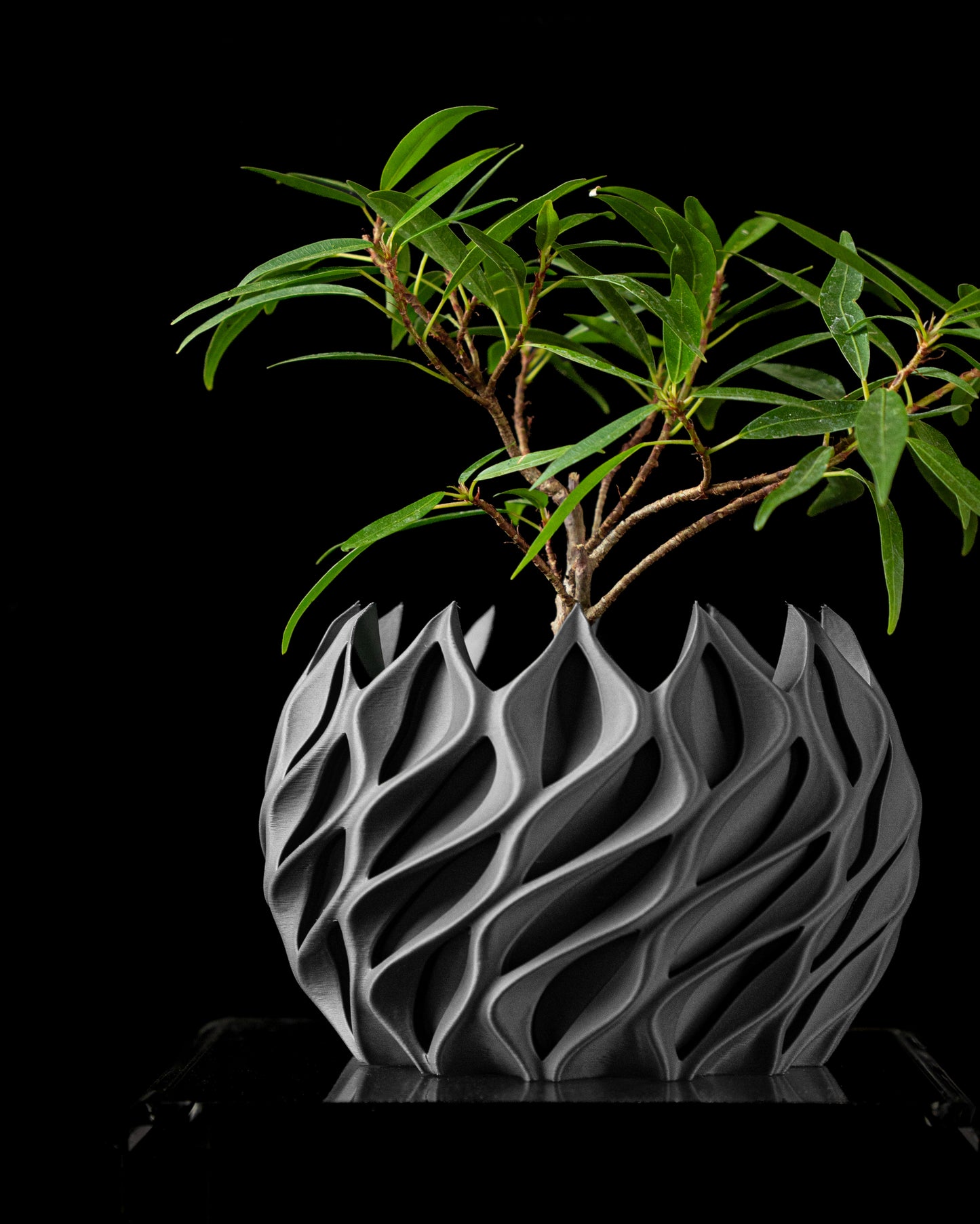 Twisted interior Planter Pot