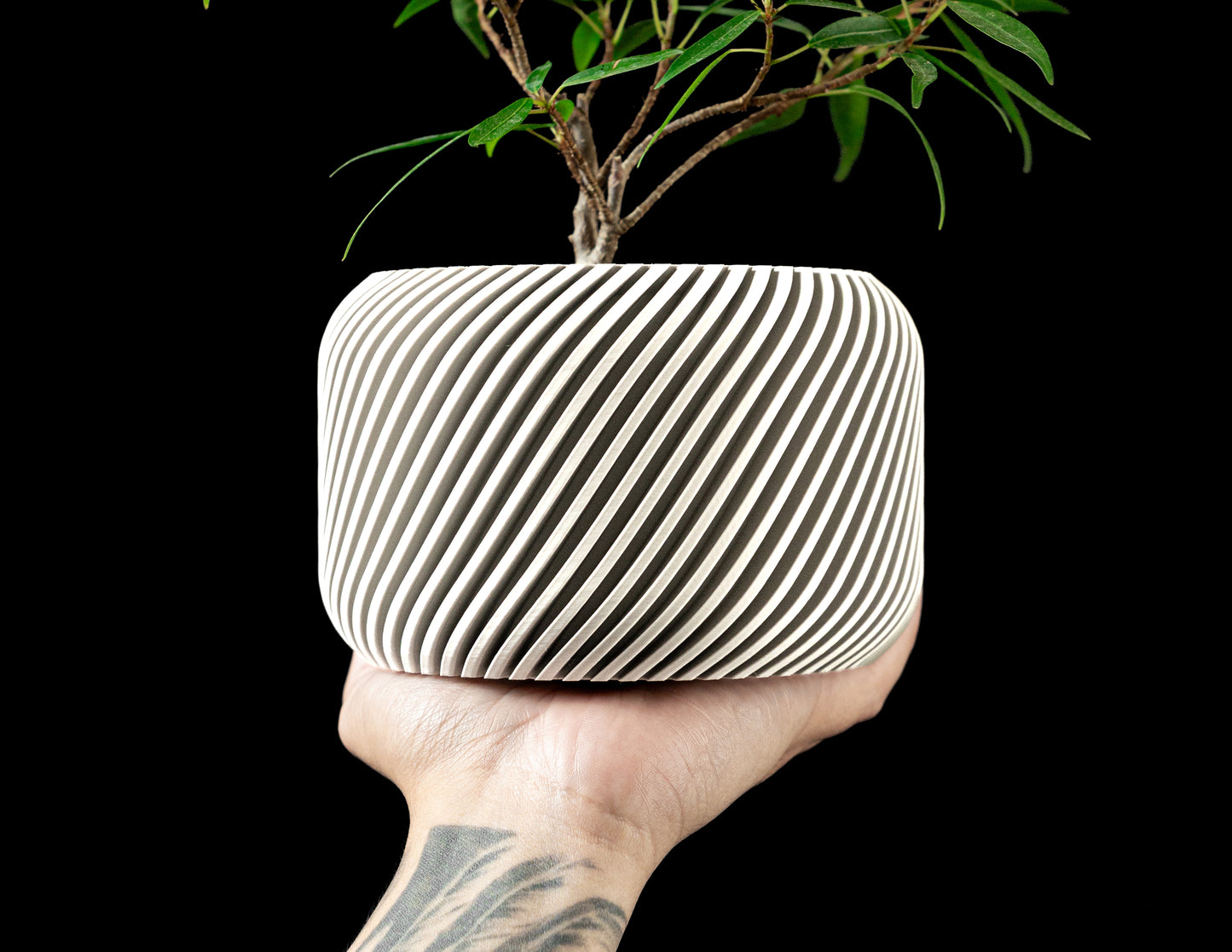Slant Interior Planter Pot