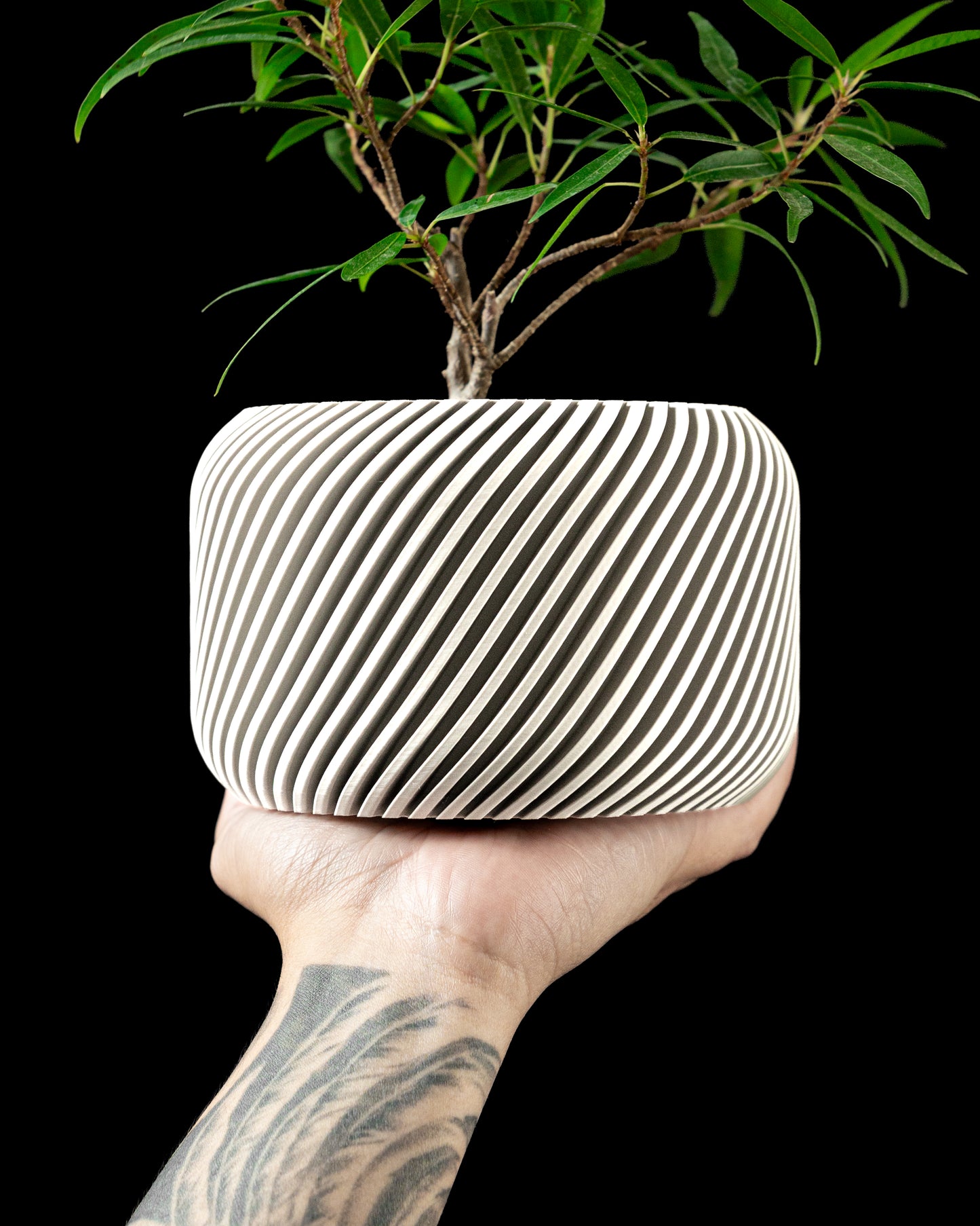 Slant Interior Planter Pot