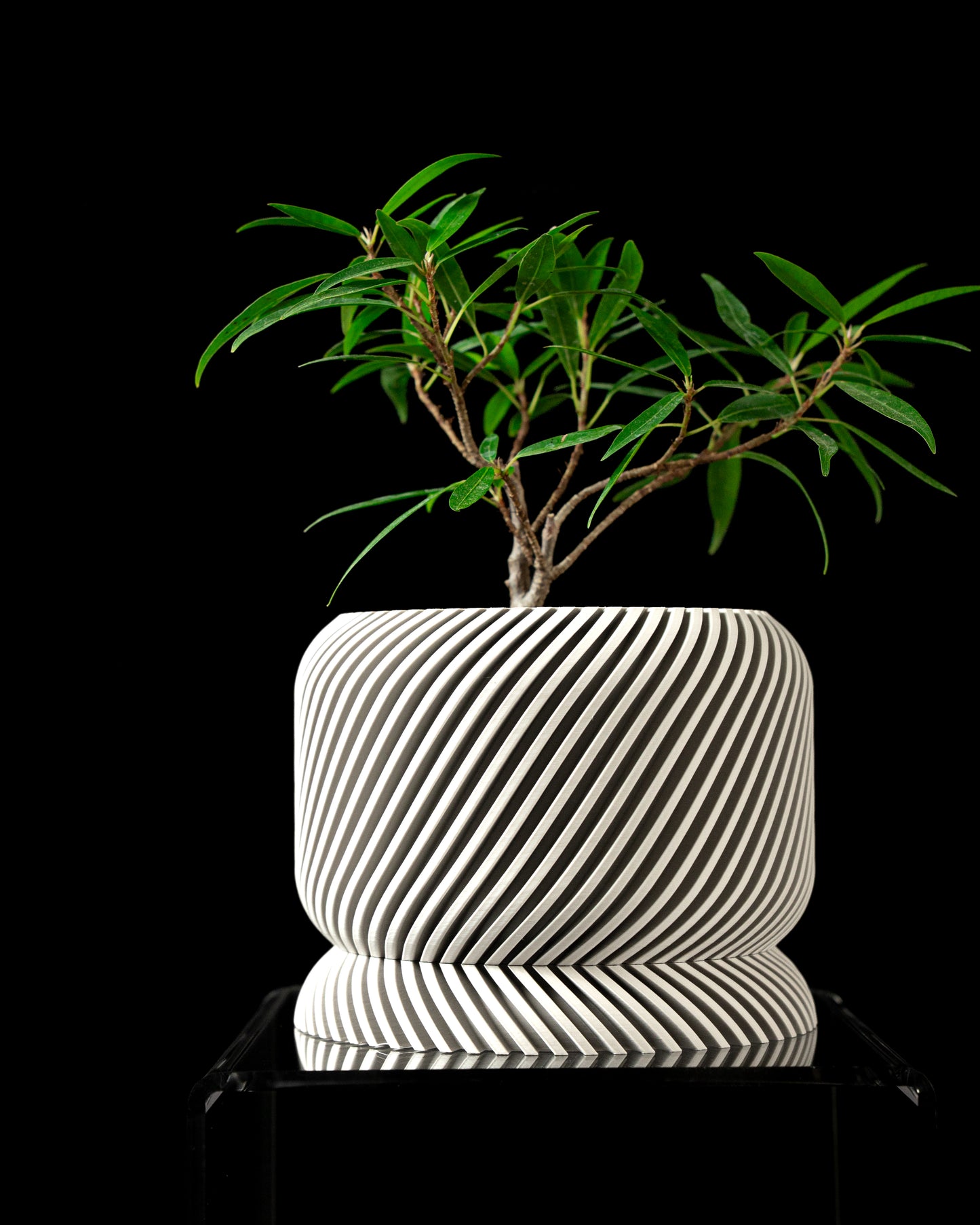 Slant Interior Planter Pot