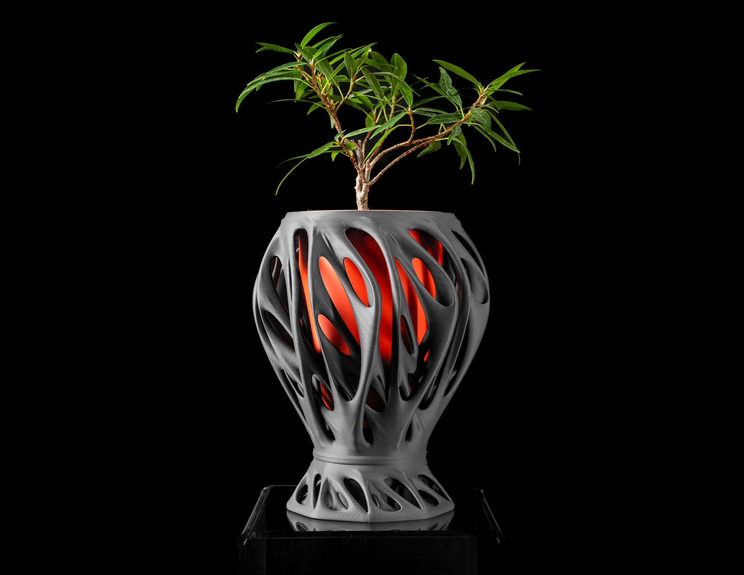 Mantis Interior Planter Pot