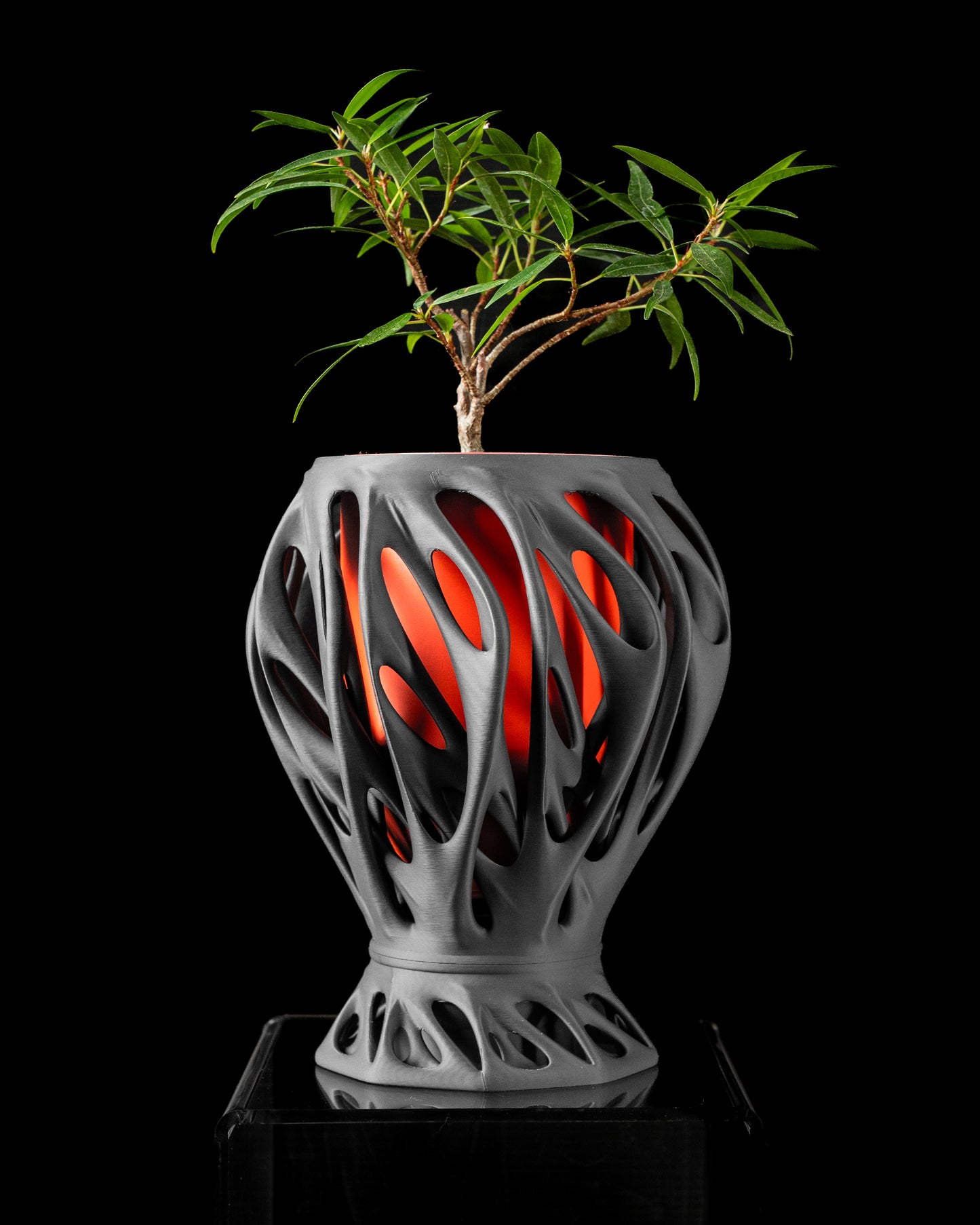 Mantis Interior Planter Pot