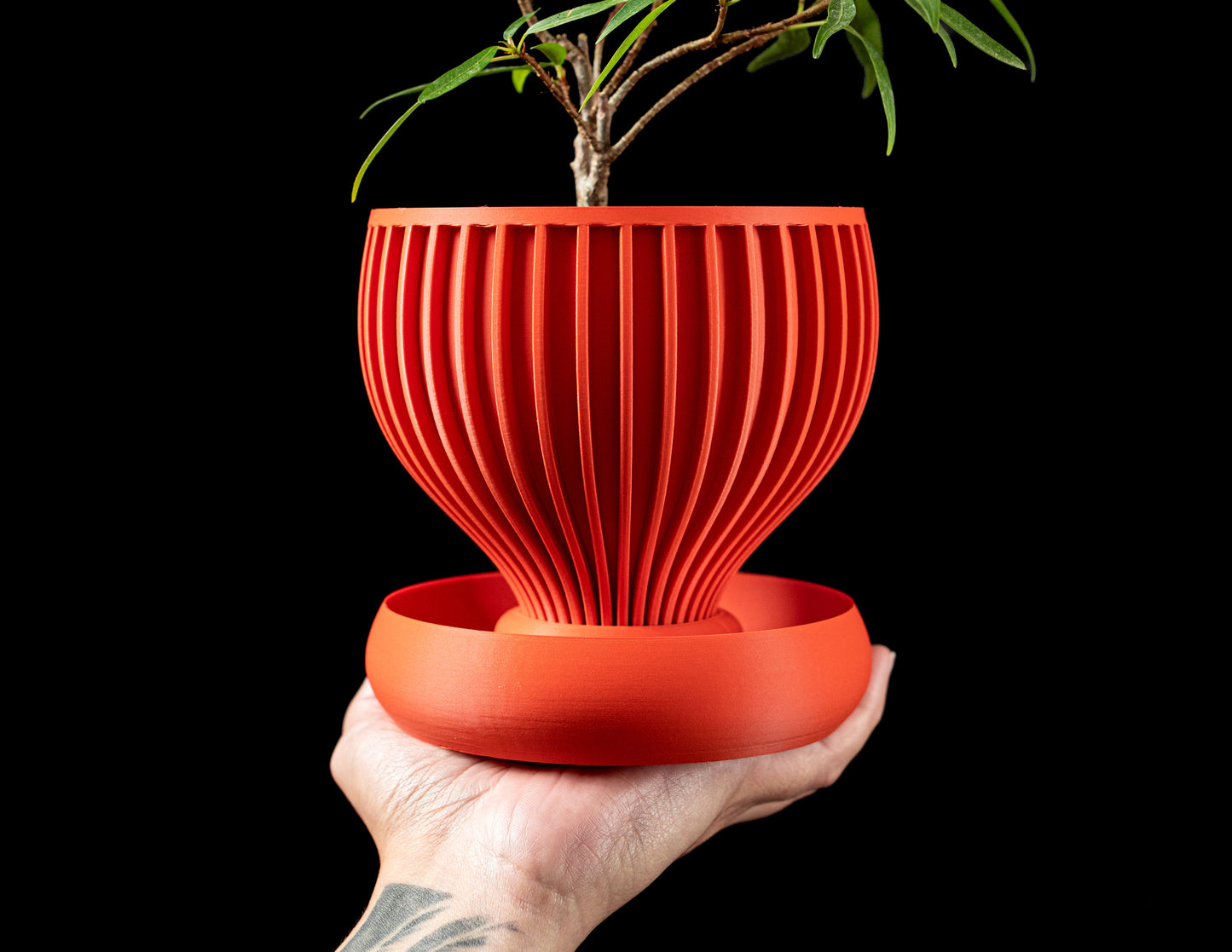 Yin interior planter