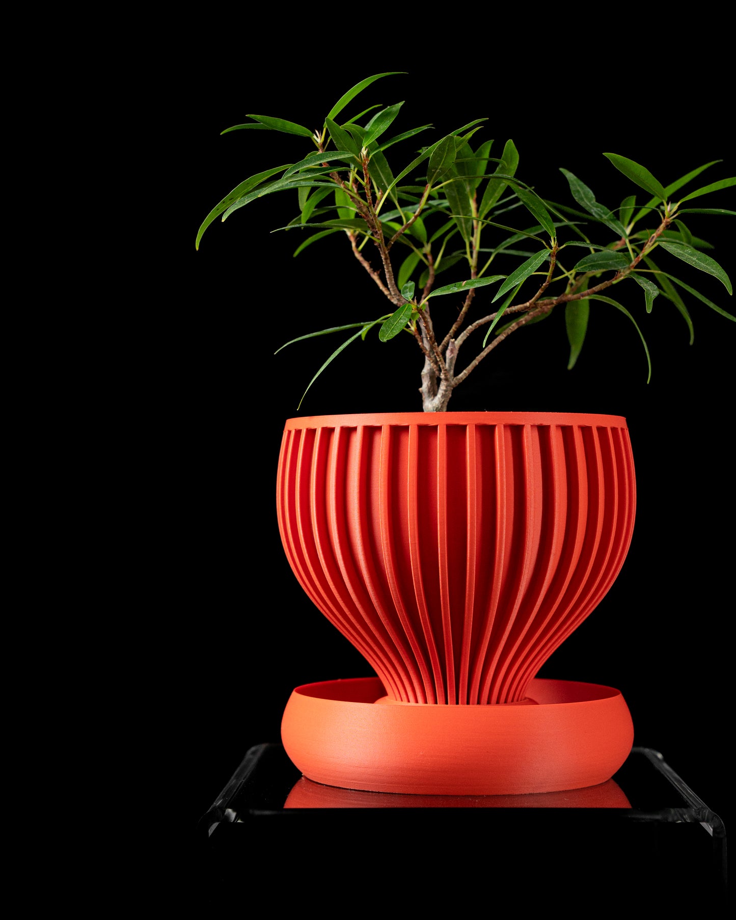 Yin interior planter