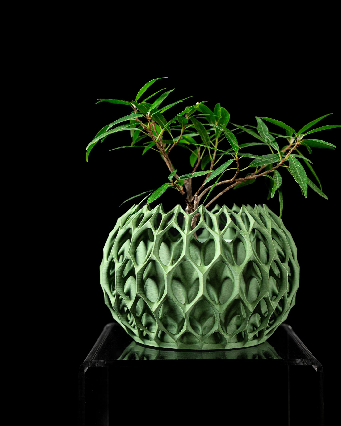 Invader Interior Planter Pot 02
