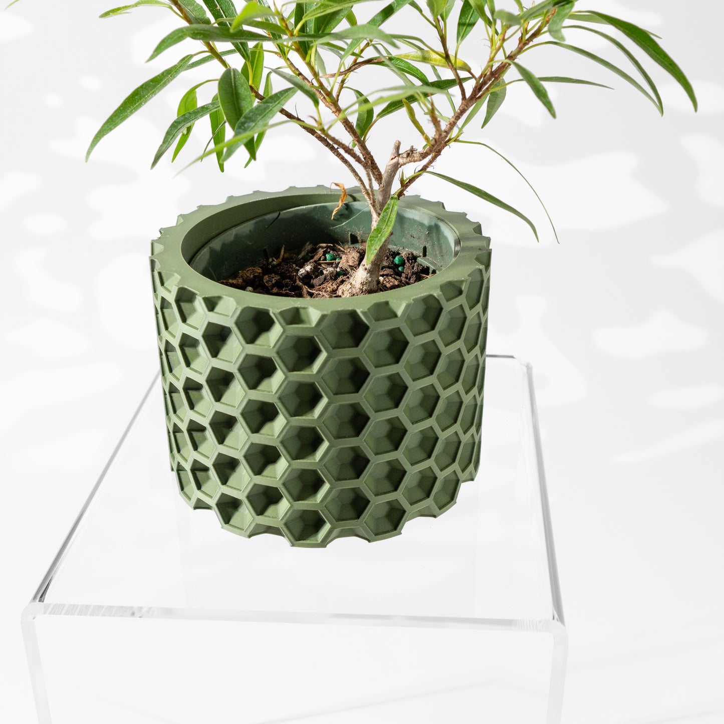 The Armos Interior Planter Pot