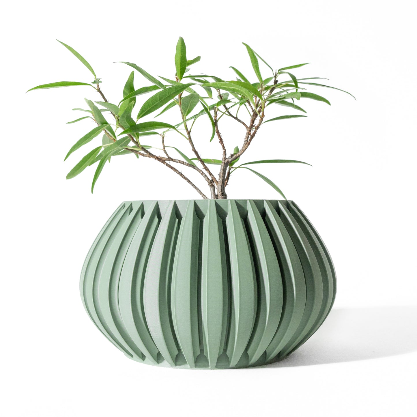 LENO Interior Planter Pot