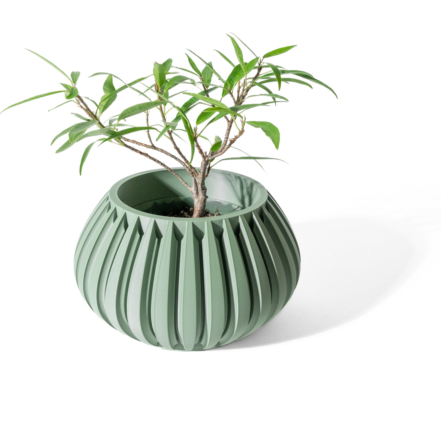 LENO Interior Planter Pot