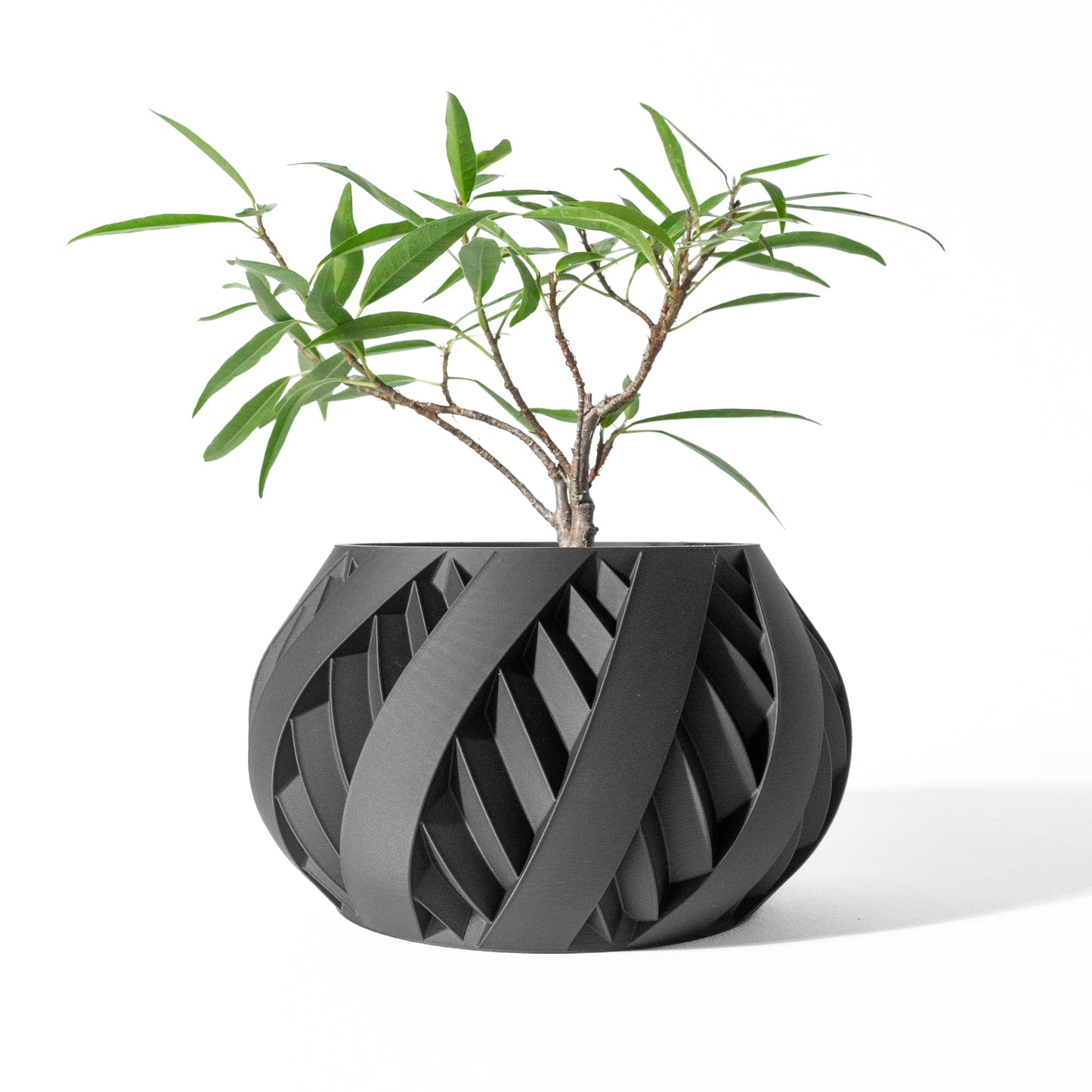 SILVO Planter
