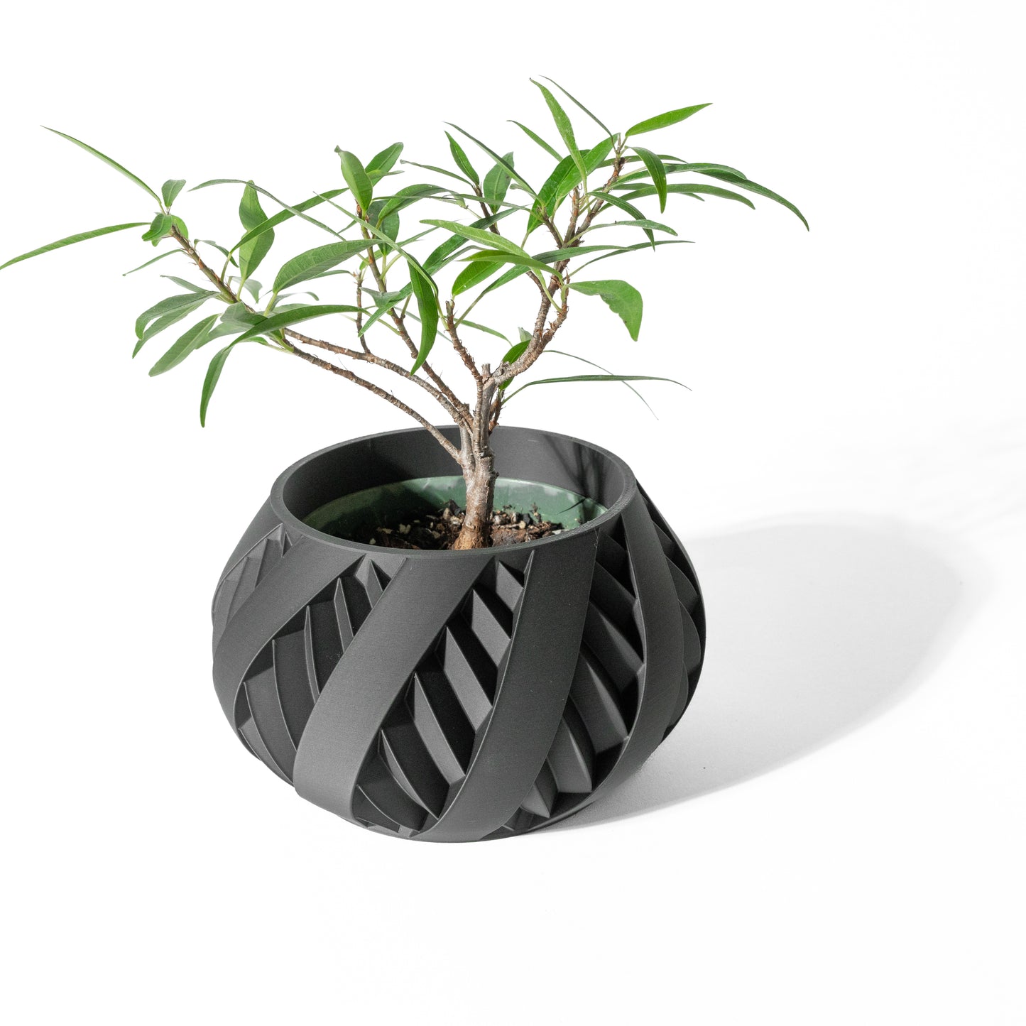 SILVO Planter