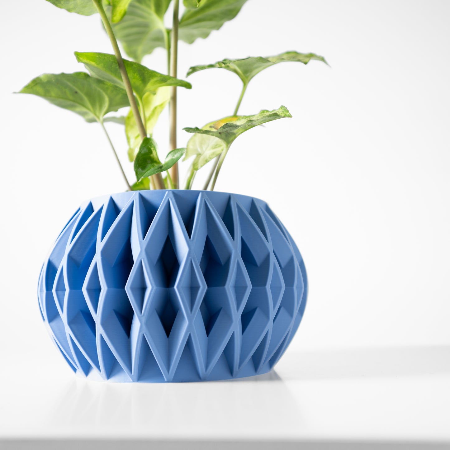 The Orik Interior Planter Pot with Drainage Tray