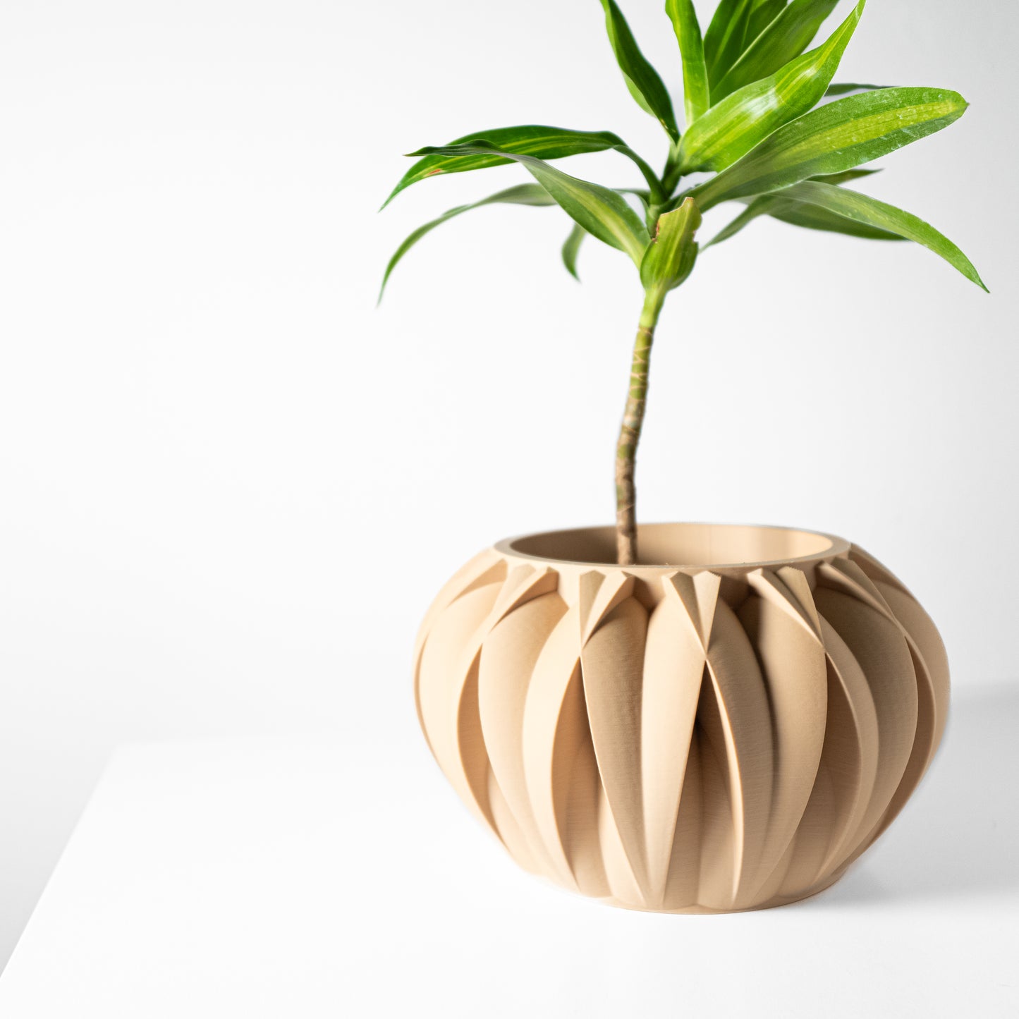 The Halden Interior Planter Pot with Drainage Tray