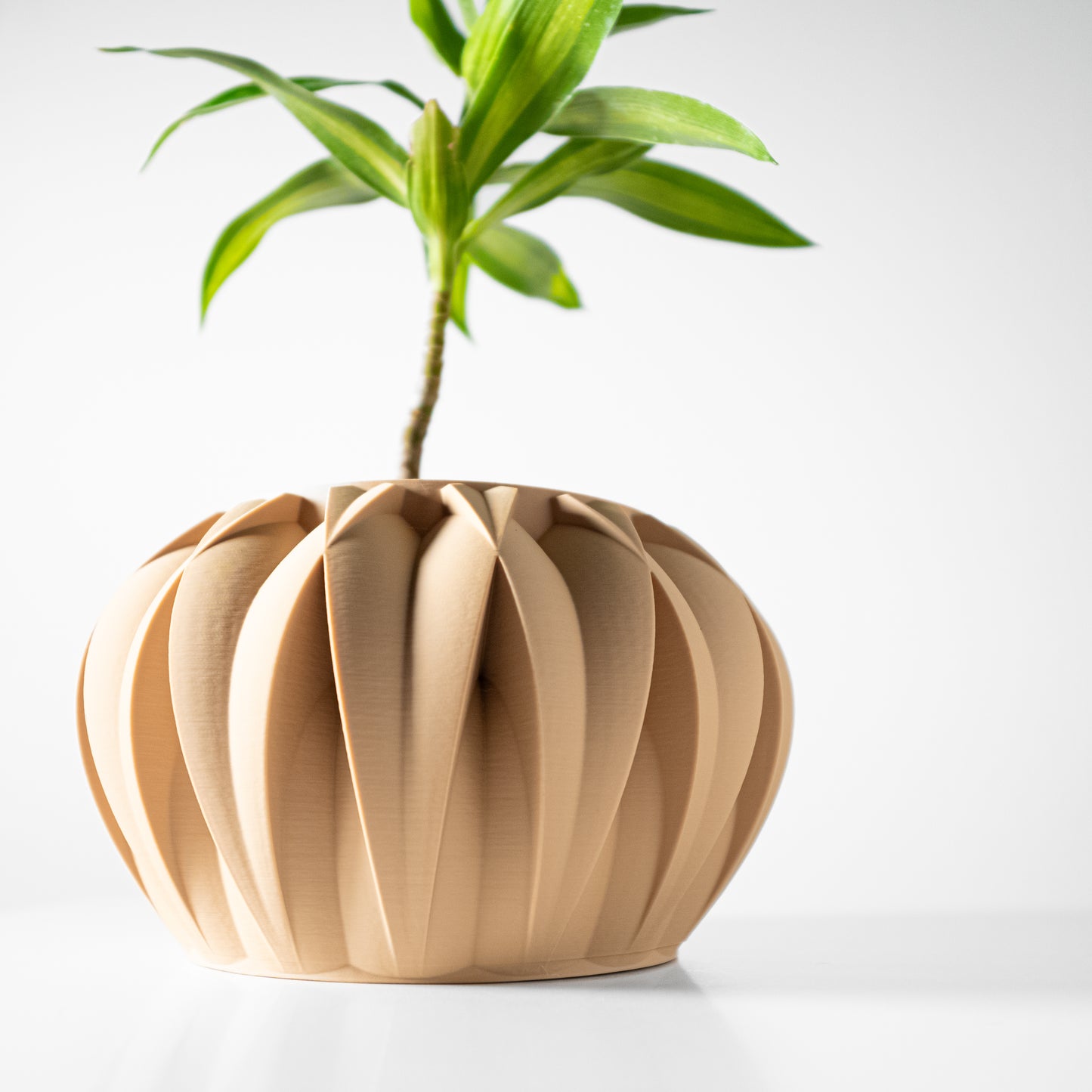 The Halden Interior Planter Pot with Drainage Tray