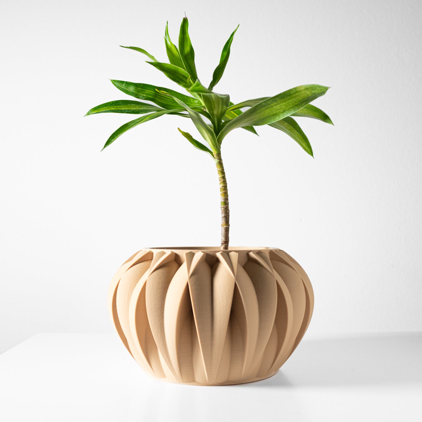 The Halden Interior Planter Pot with Drainage Tray