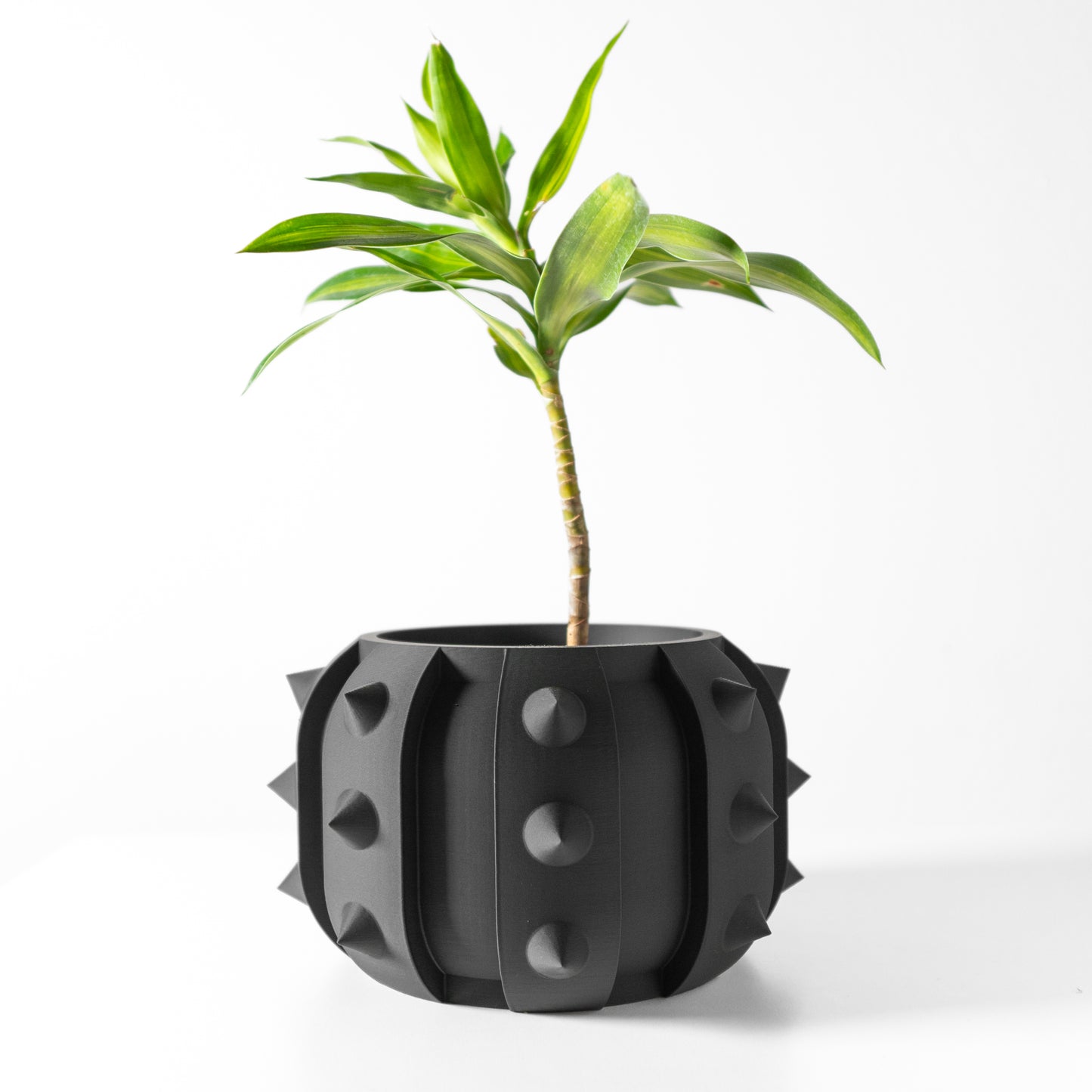 The Alver Interior Planter Pot with Drainage Tray