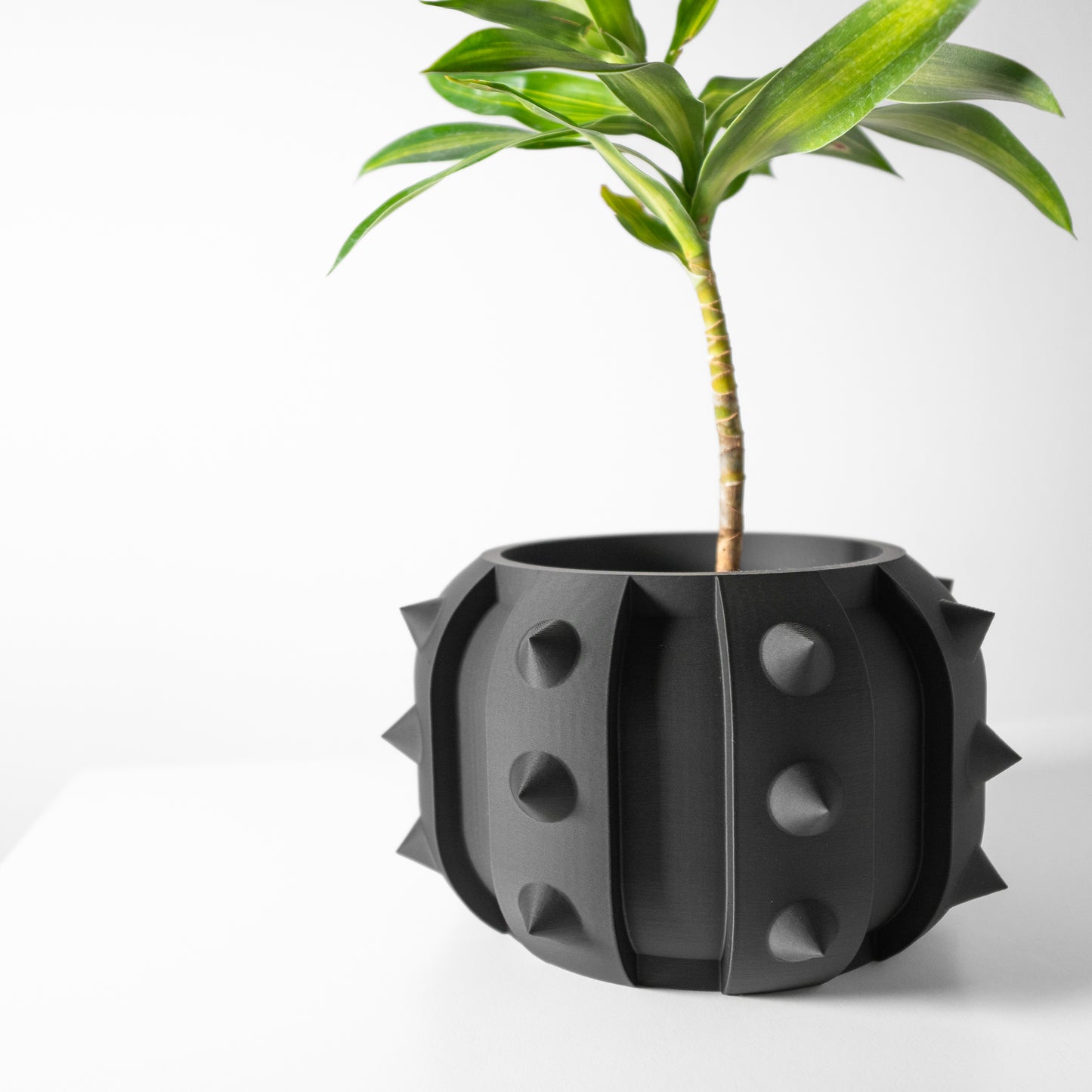 The Alver Interior Planter Pot with Drainage Tray