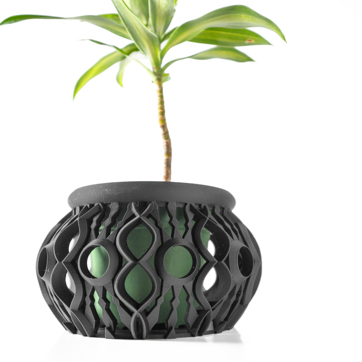The Lyren Planter Pot & Orchid Pot Hybrid