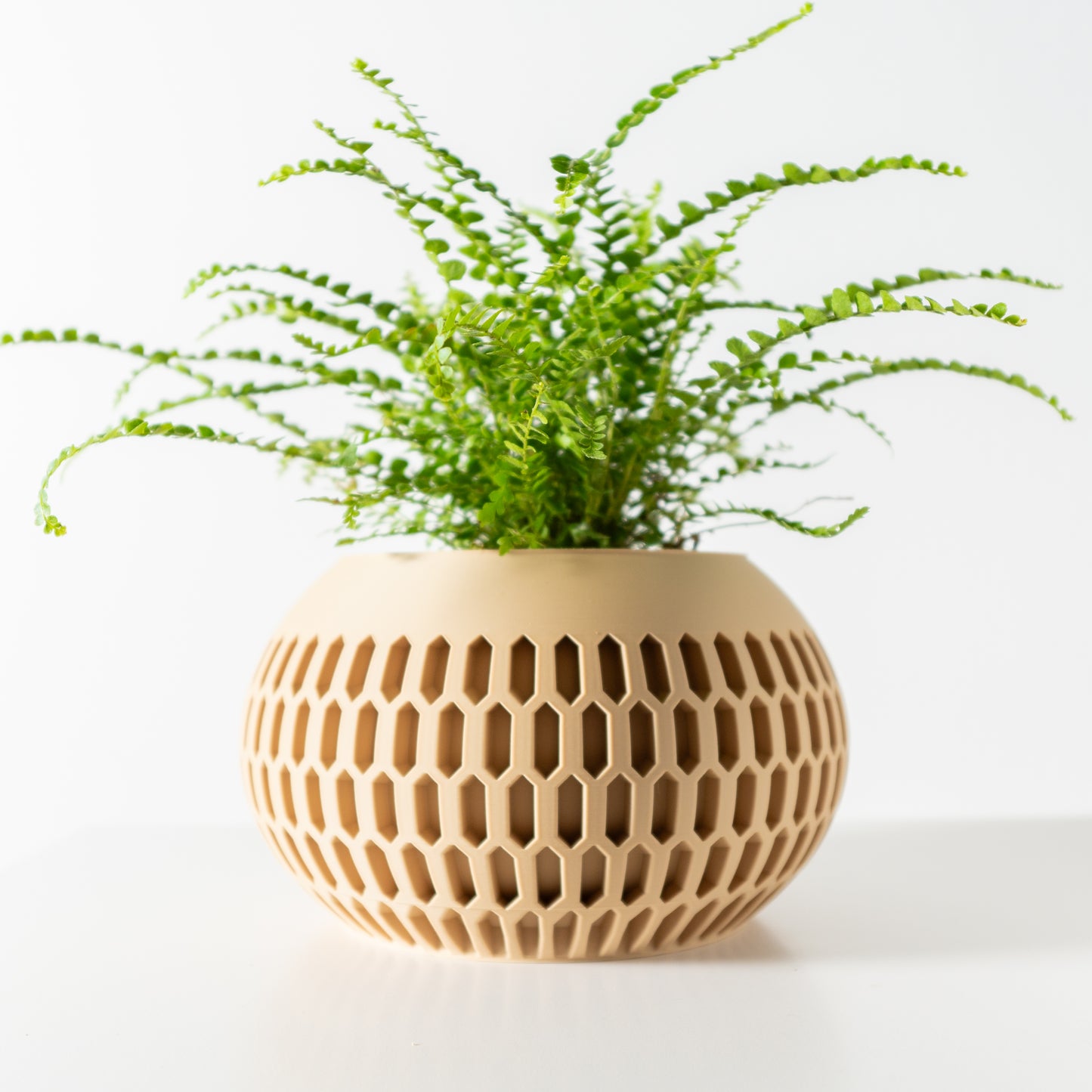 The Mervis Interior Planter Pot with Drainage Tray