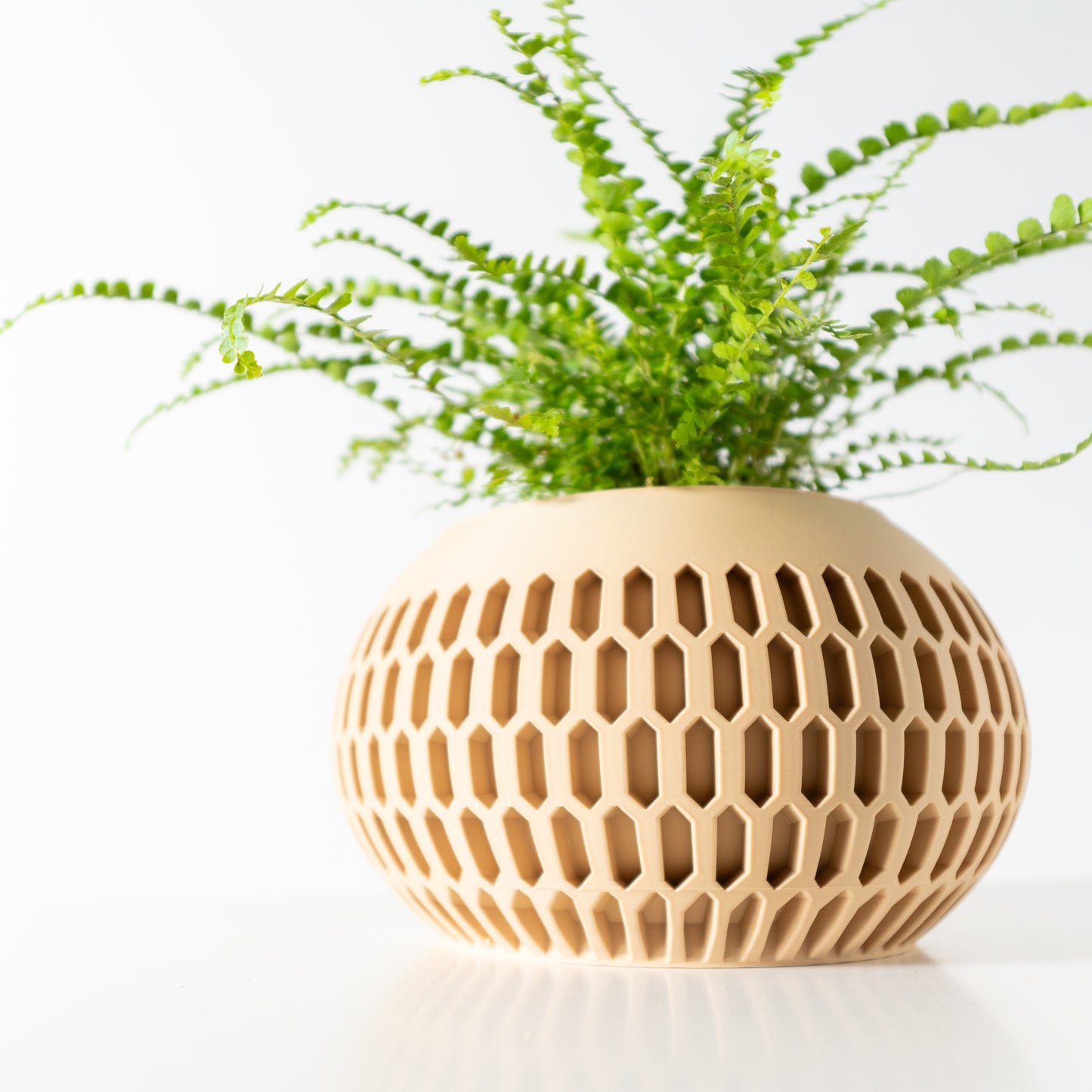 The Mervis Interior Planter Pot with Drainage Tray