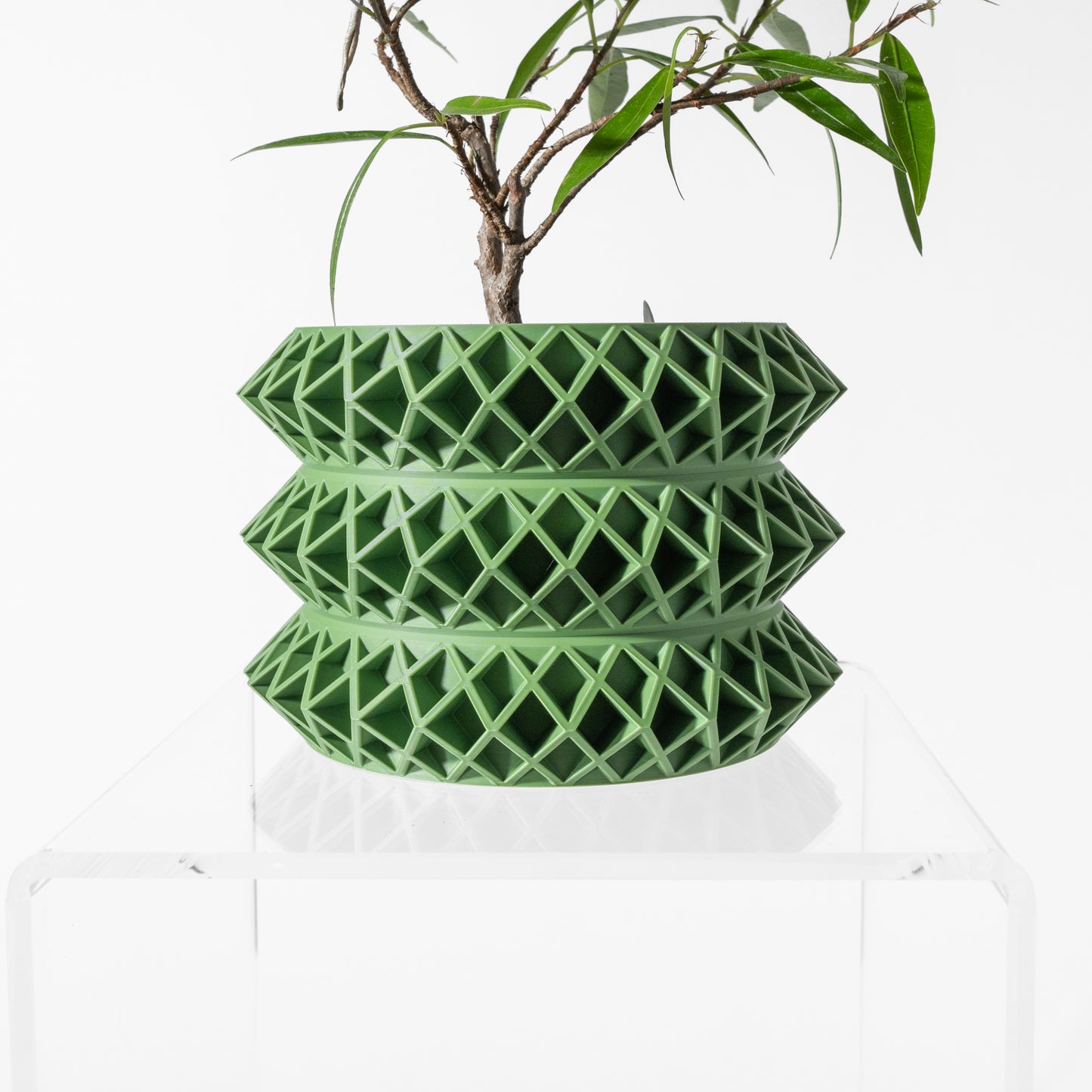 The Tomo Interior Planter Pot