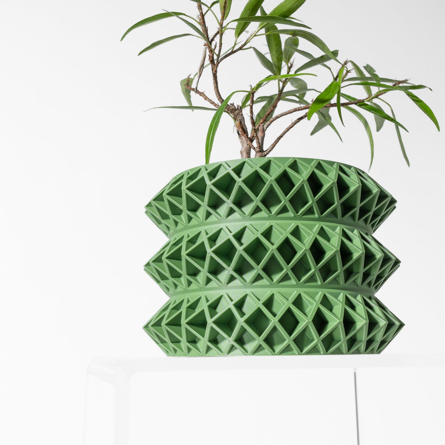 The Tomo Interior Planter Pot