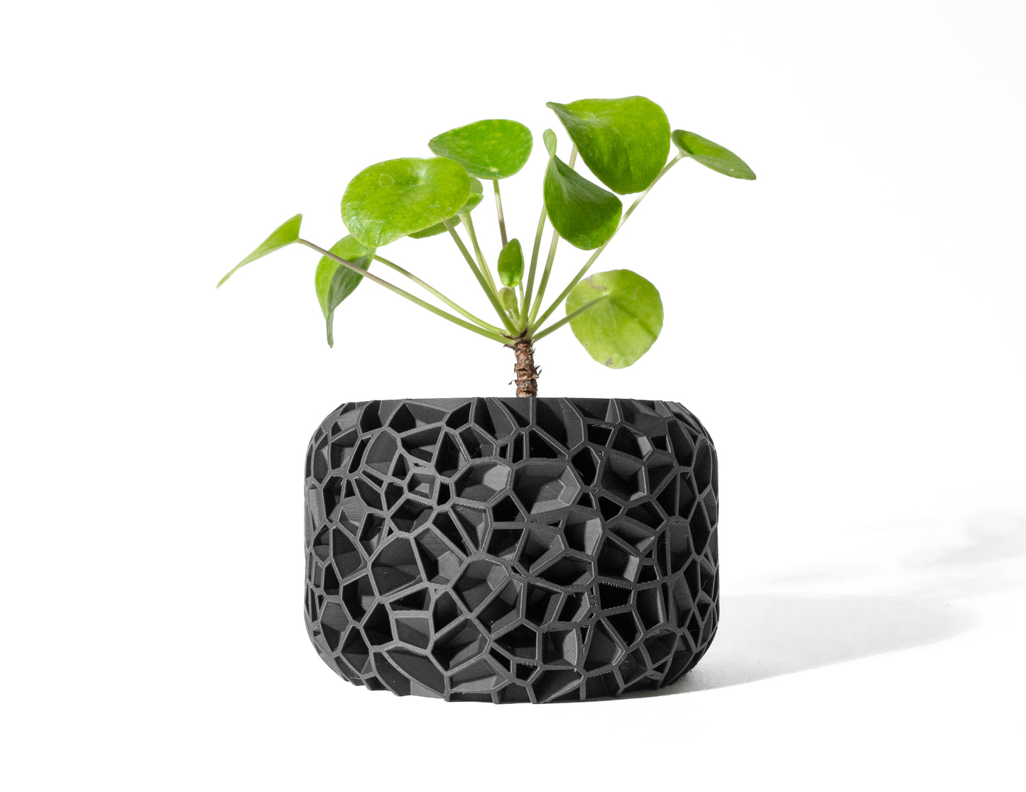 VORI interior Planter