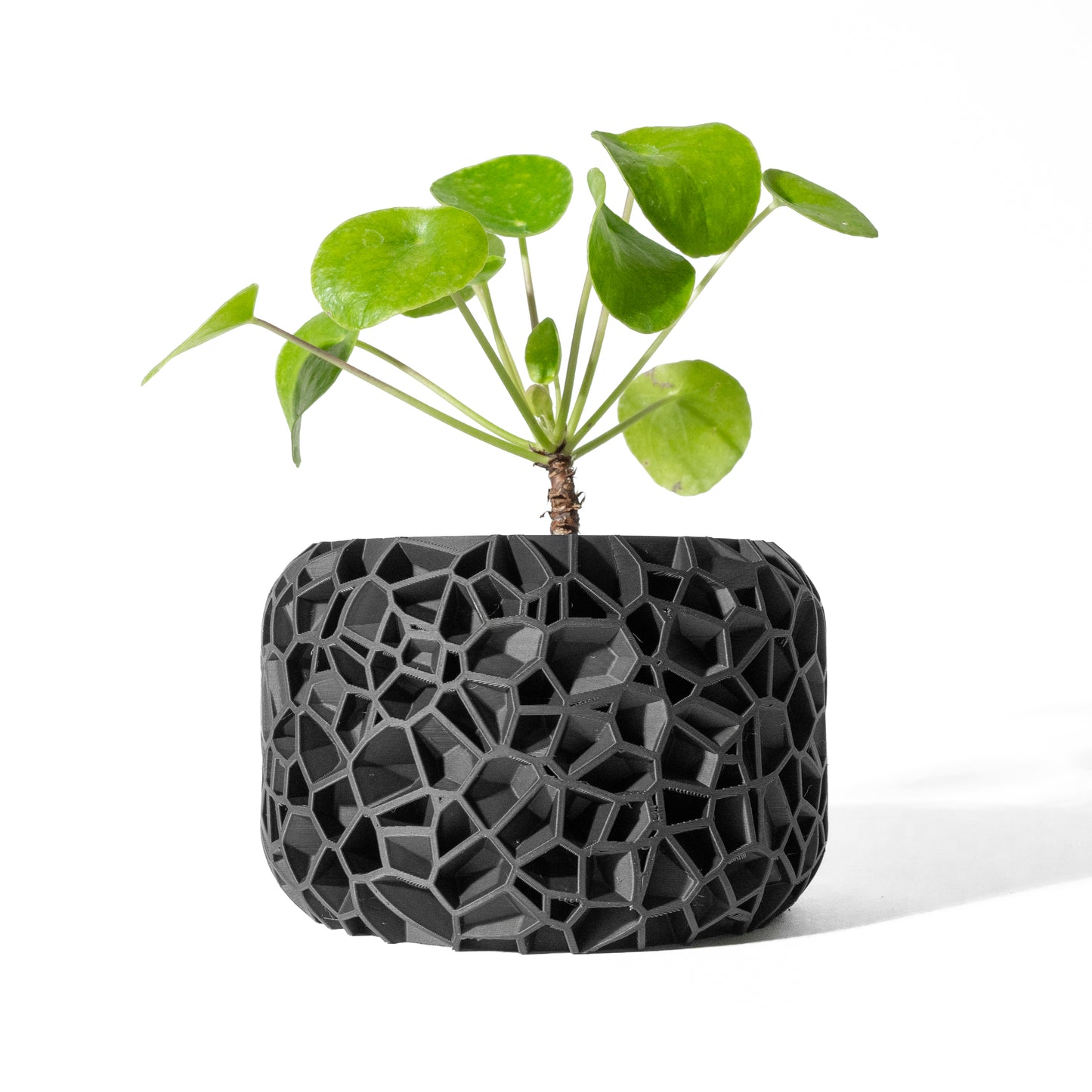 VORI interior Planter