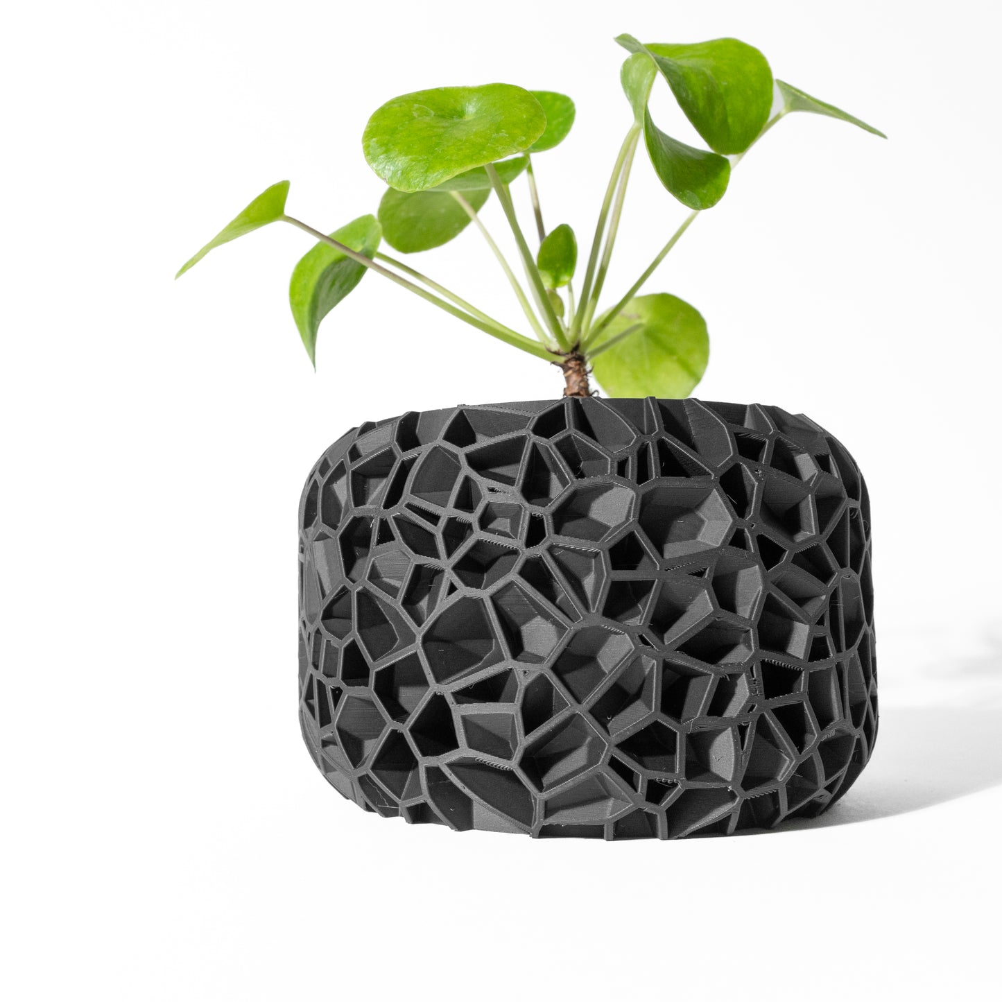 VORI interior Planter