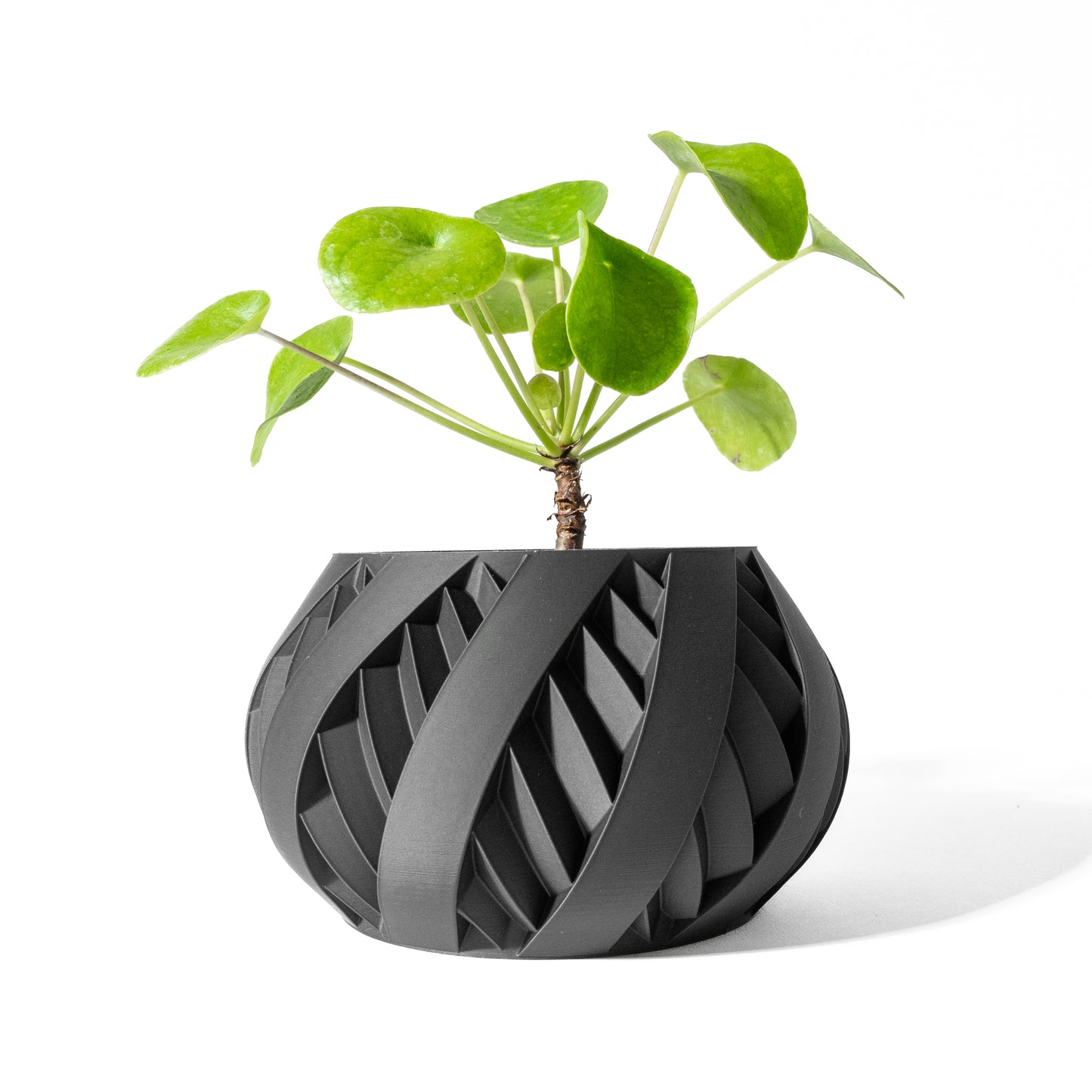 SILVO Planter