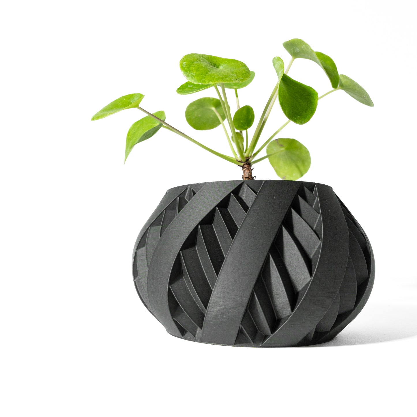 SILVO Planter