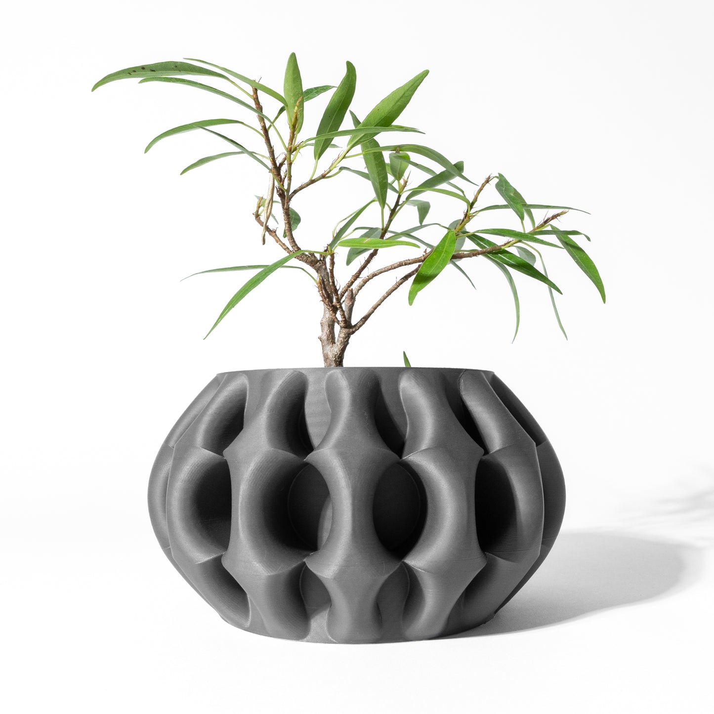 The Xiomu Interior Planter Pot with Drainage Tray