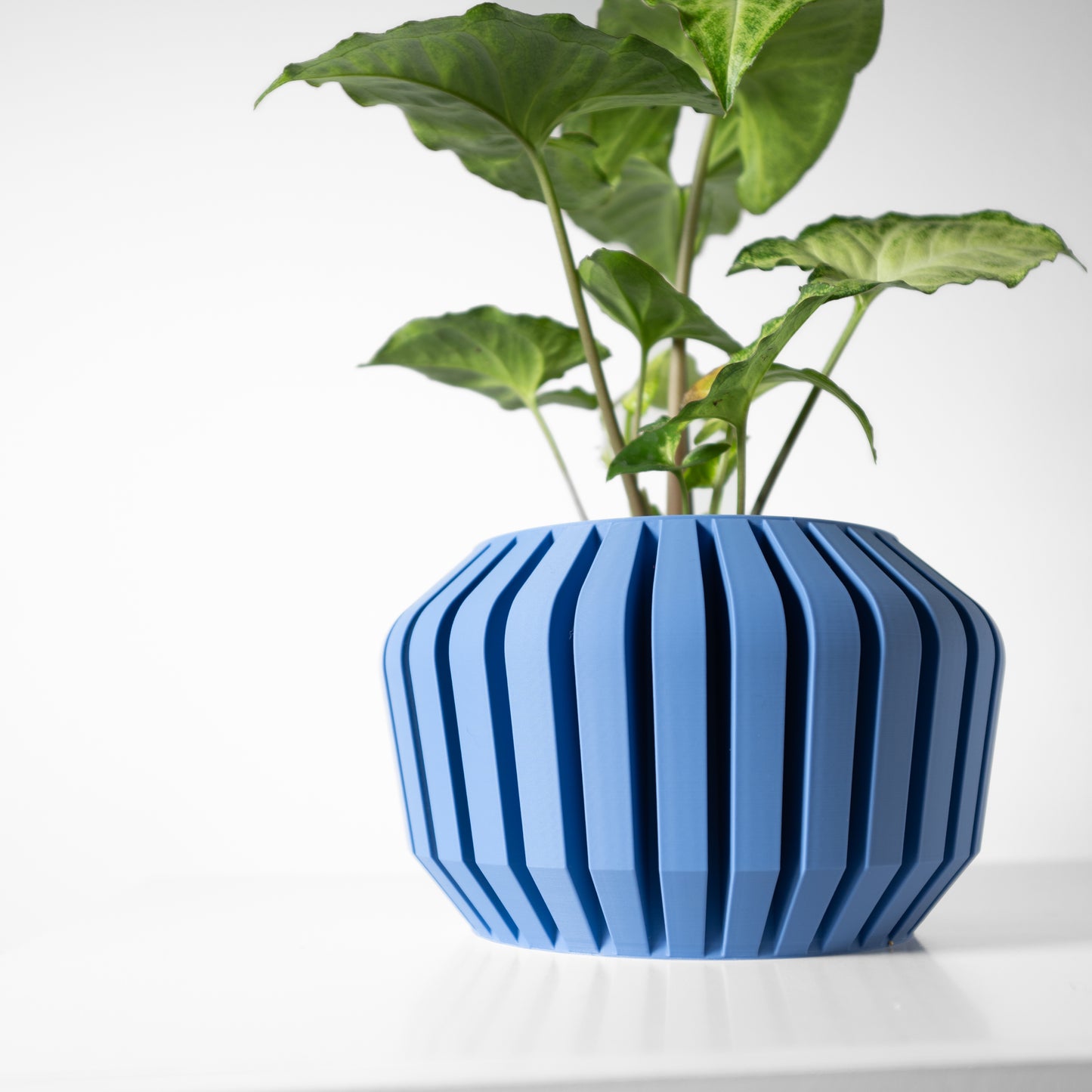 The Vaki Interior Planter Pot with Drainage Tray