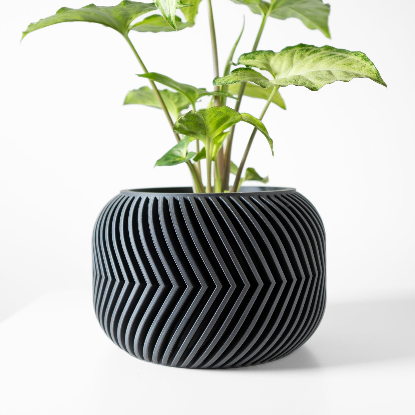 The Ervon Interior Planter Pot with Drainage Tray,