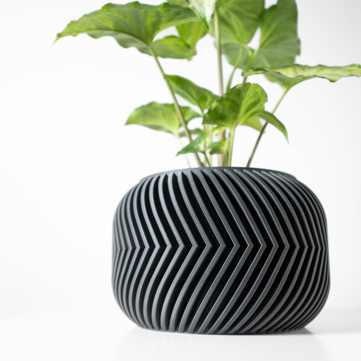 The Ervon Interior Planter Pot with Drainage Tray,