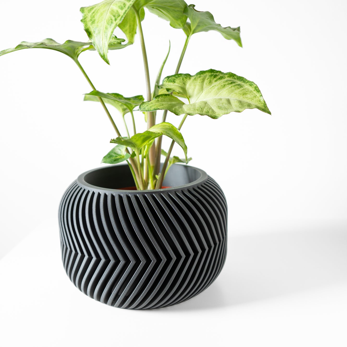 The Ervon Interior Planter Pot with Drainage Tray,