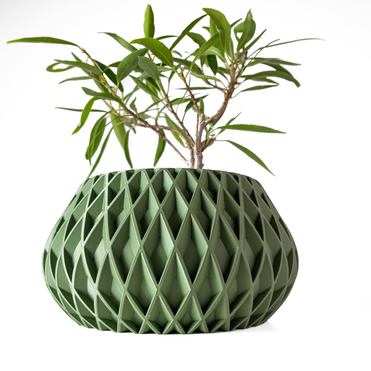 The Rivio Interior Planter Pot with Drainage Tray