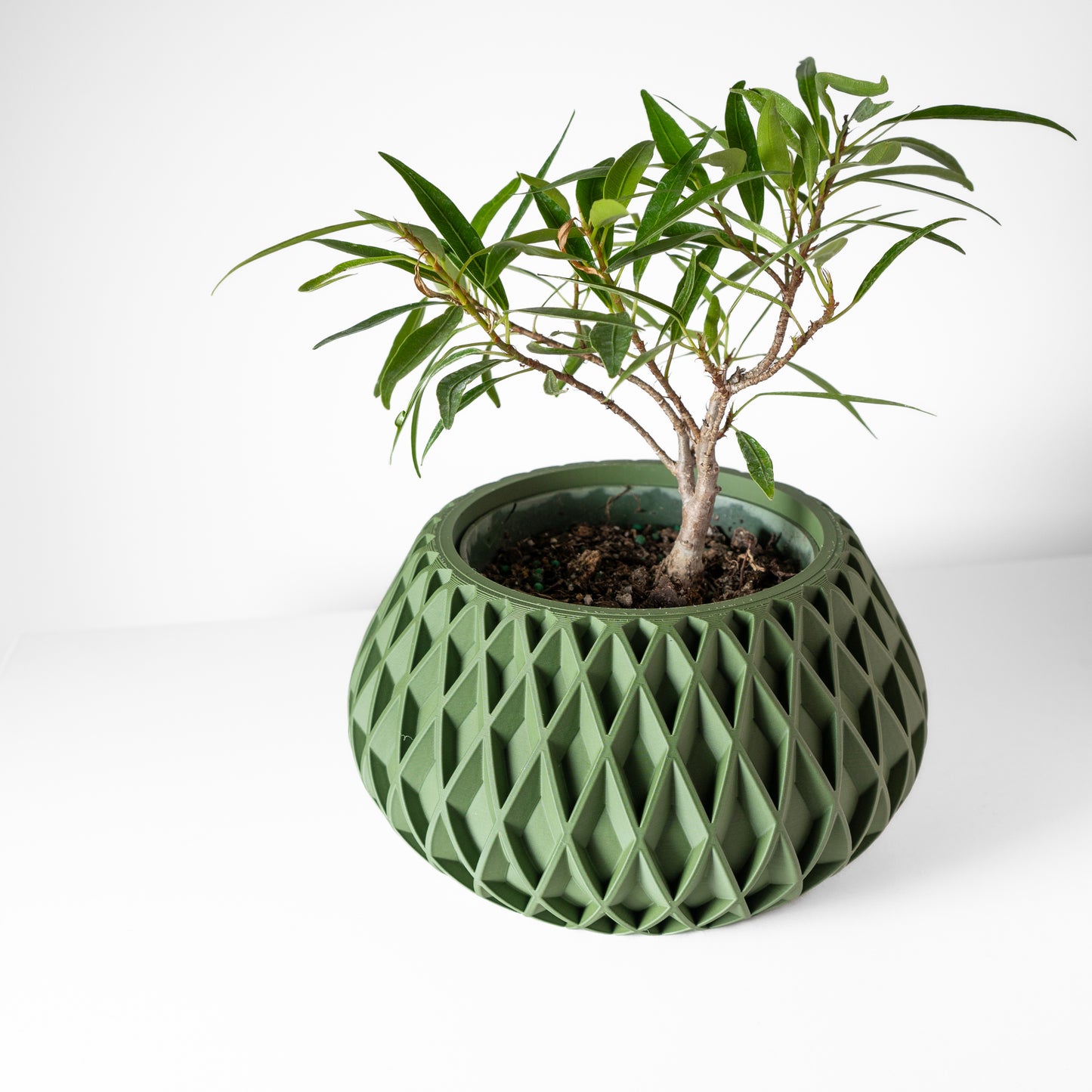 The Rivio Interior Planter Pot with Drainage Tray