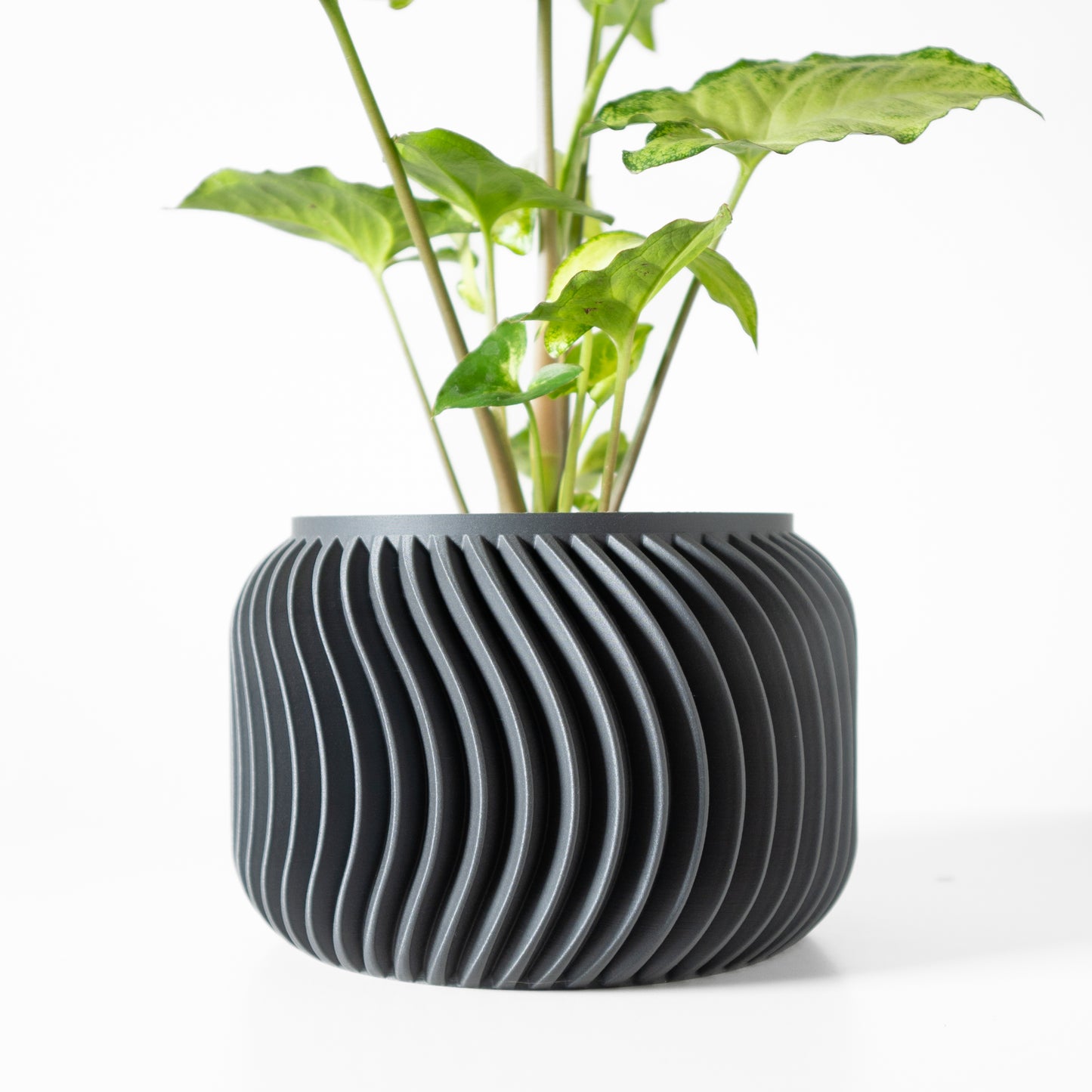 The Vilex Interior Planter Pot with Drainage Tray