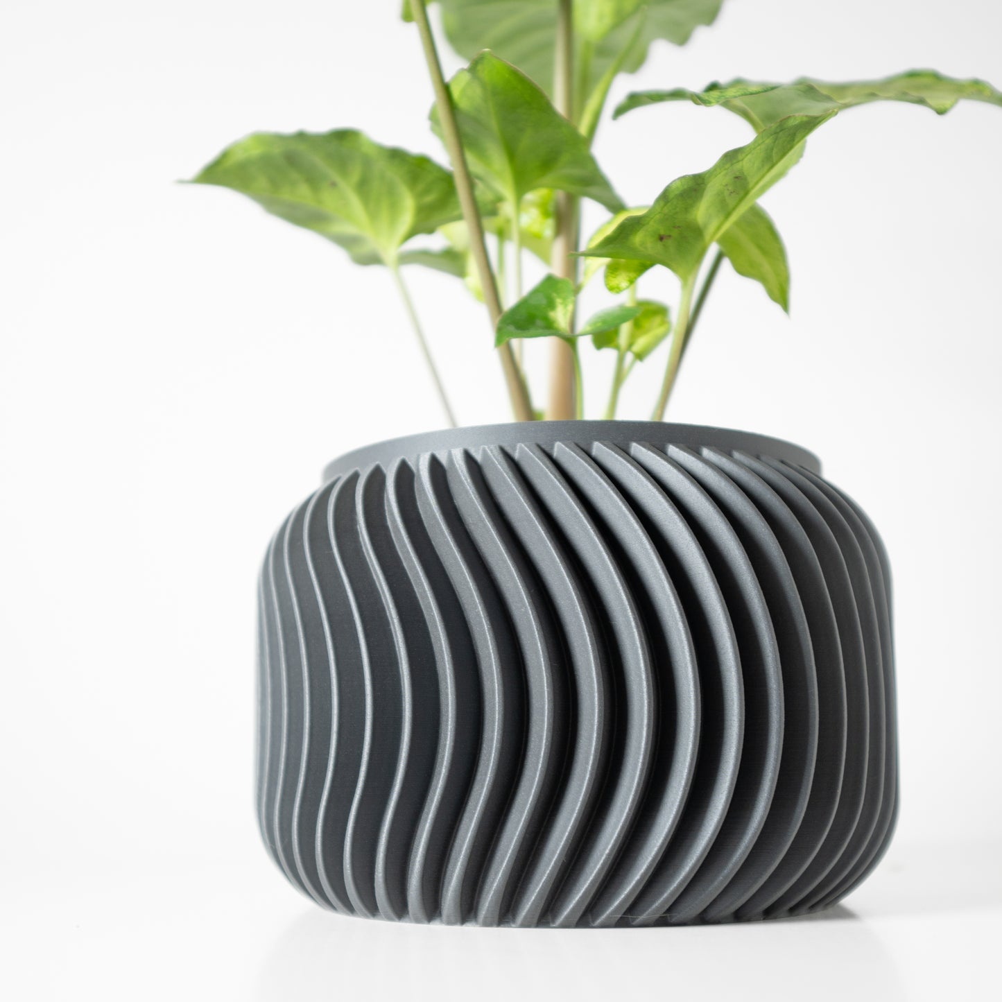 The Vilex Interior Planter Pot with Drainage Tray