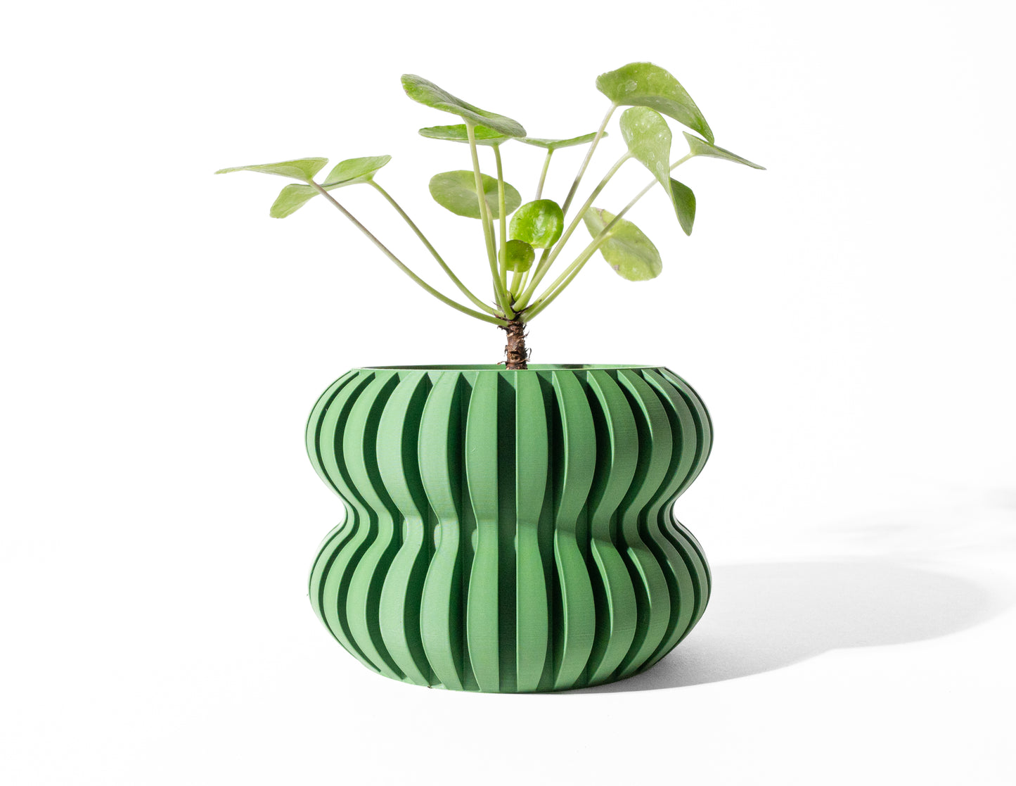 DASO Interior Planter