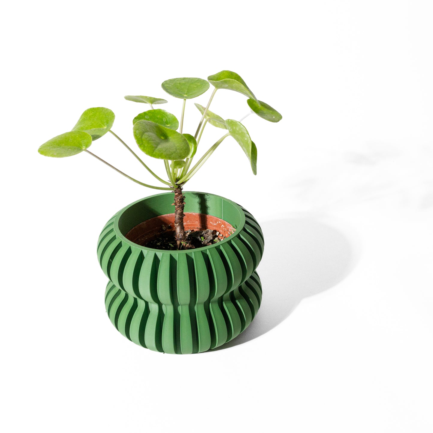 DASO Interior Planter