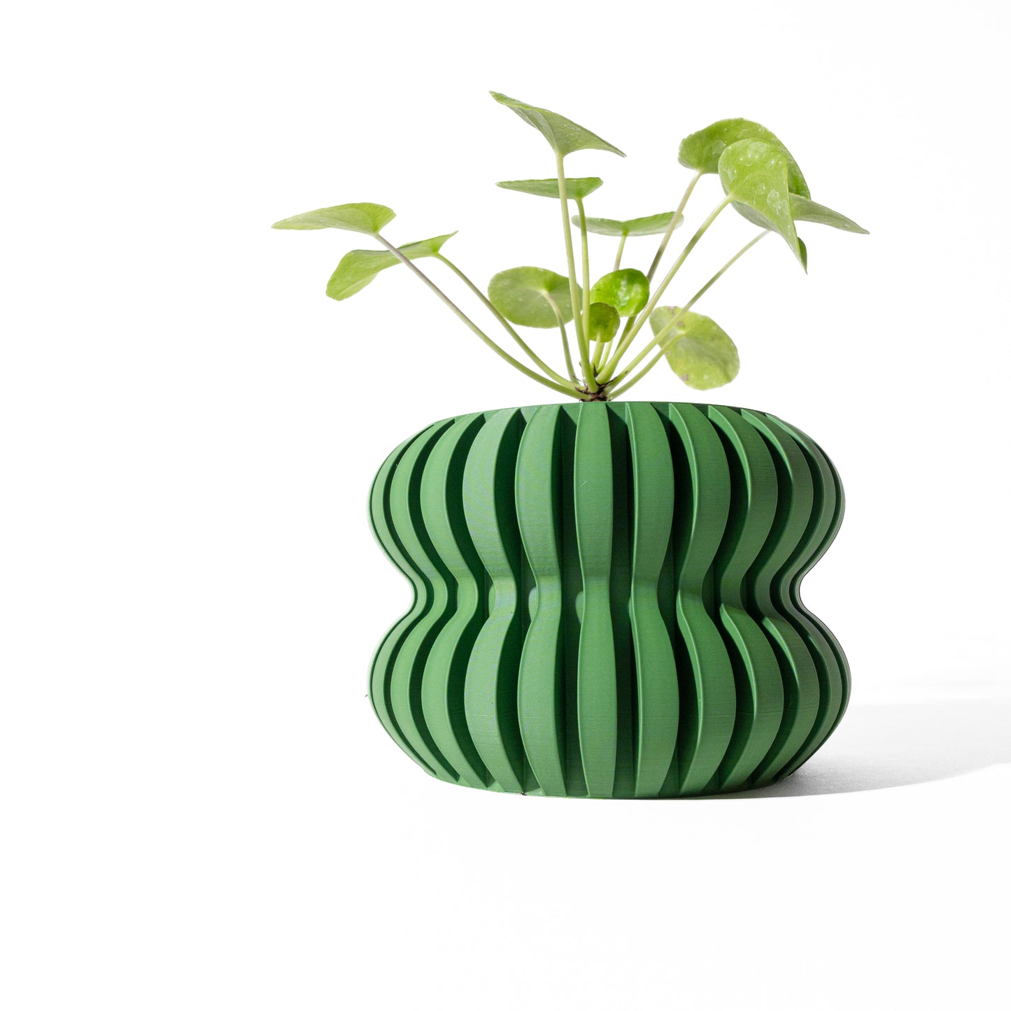 DASO Interior Planter