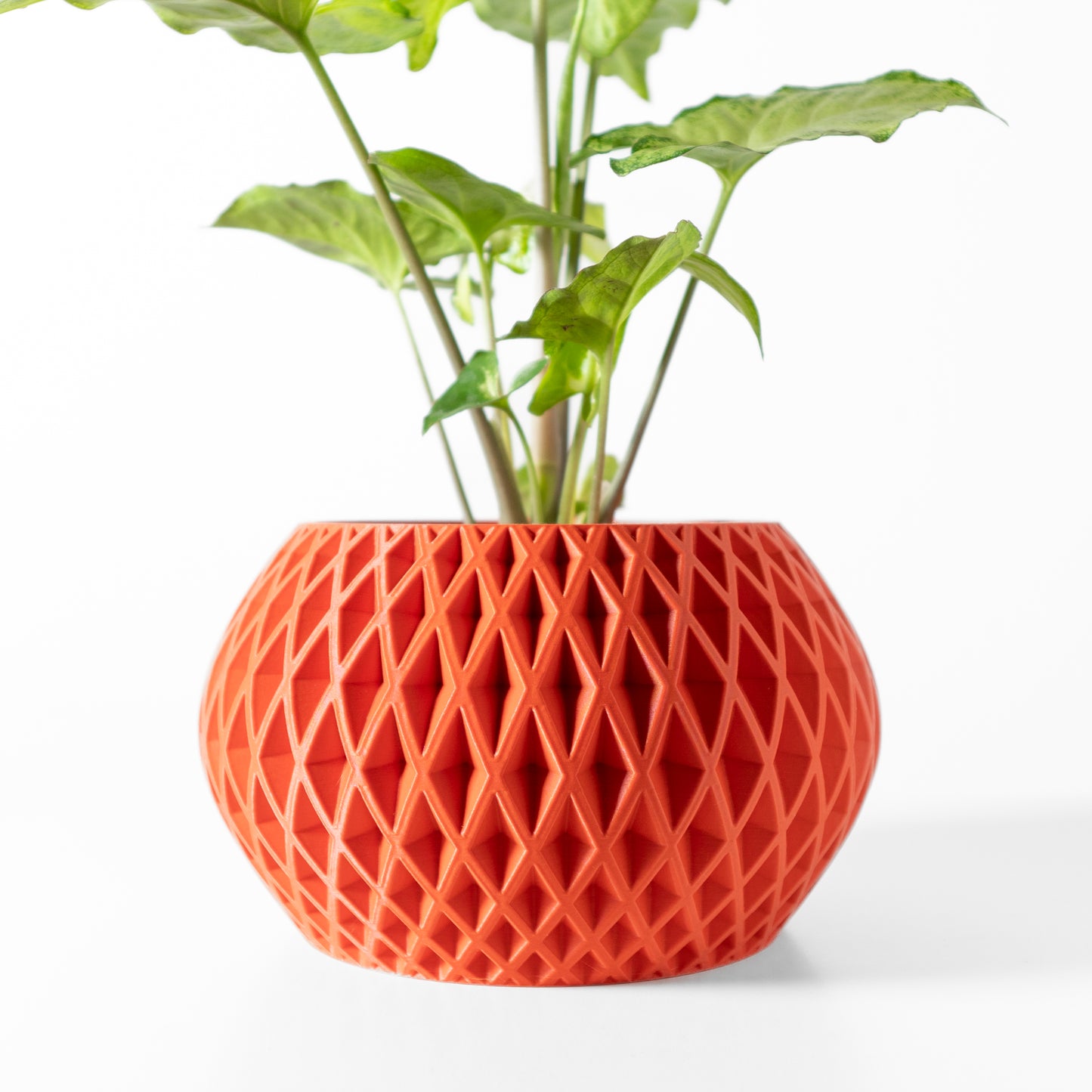 The Gisar Interior Planter Pot with Drainage Tray